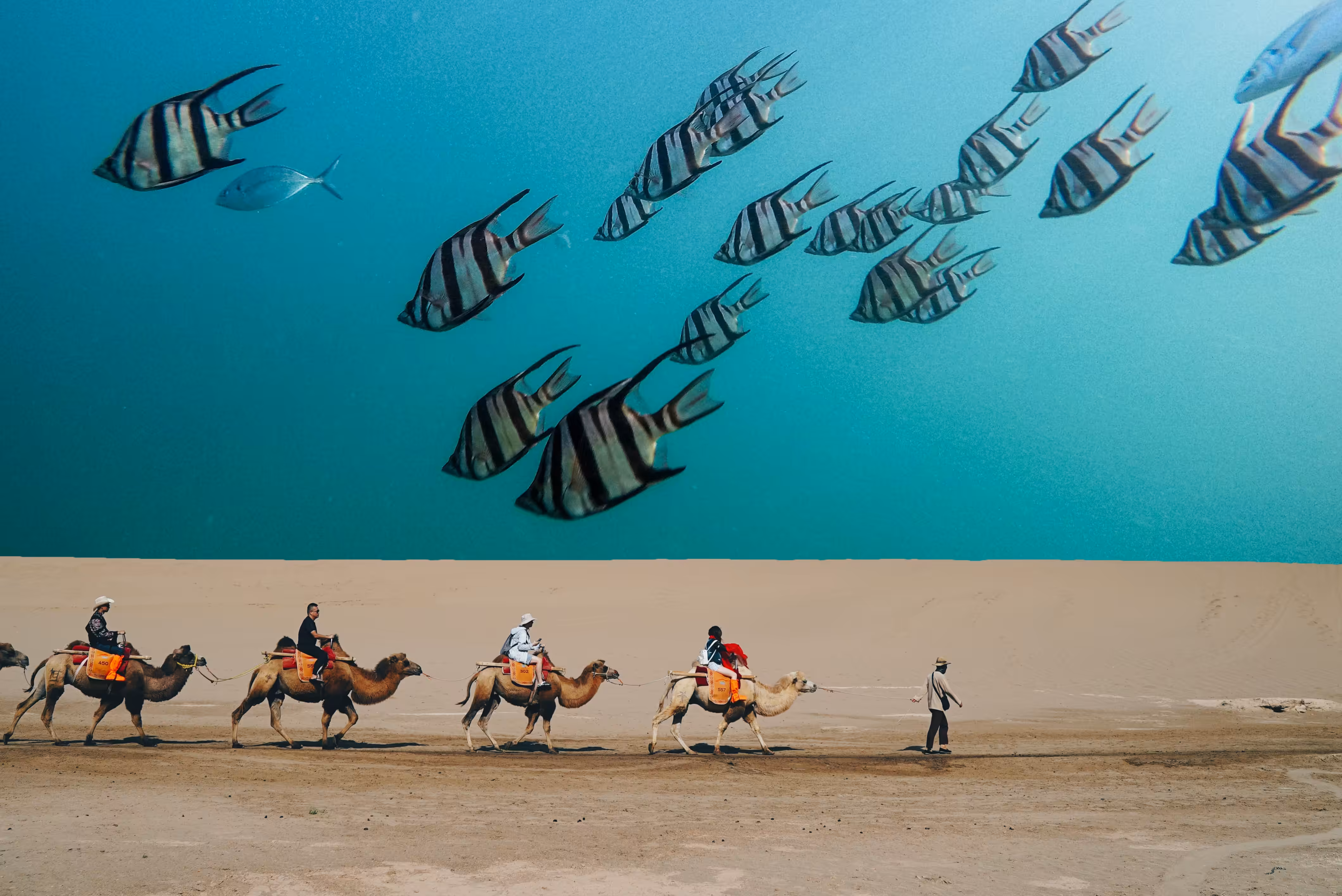 Desert Aquarium