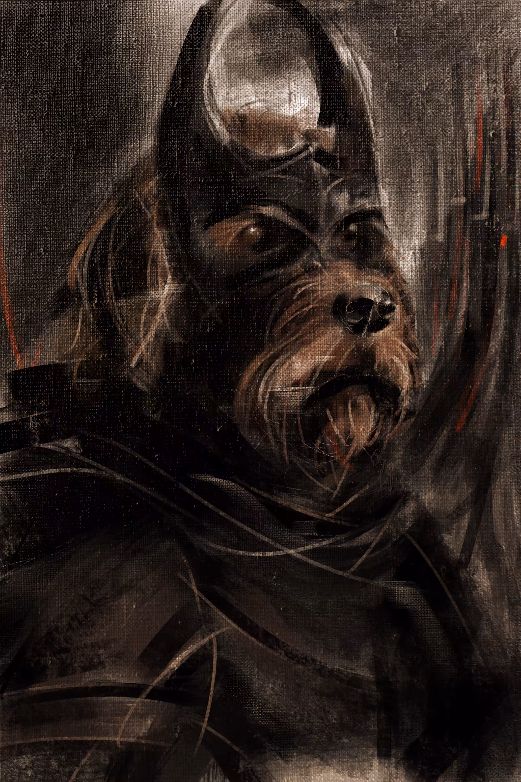 simplicissimus: dark knight 