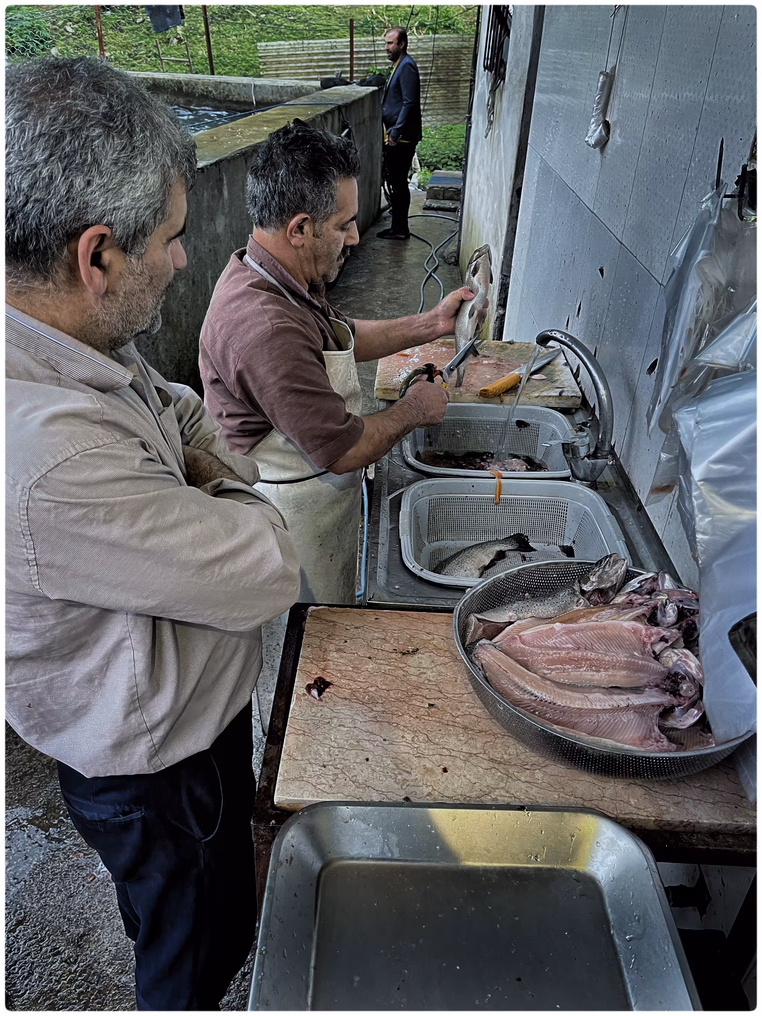 Chef