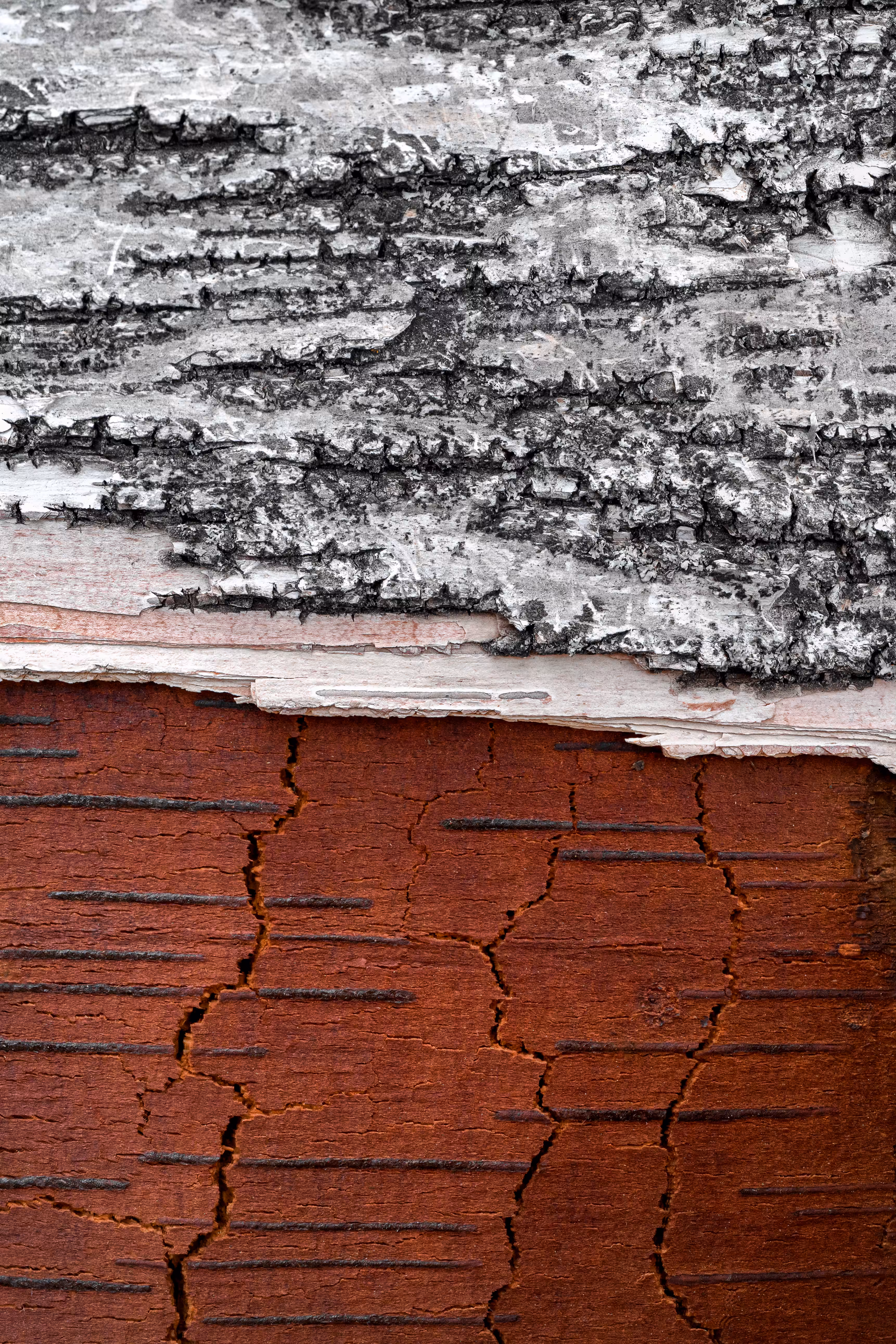 Étude de textures: 10