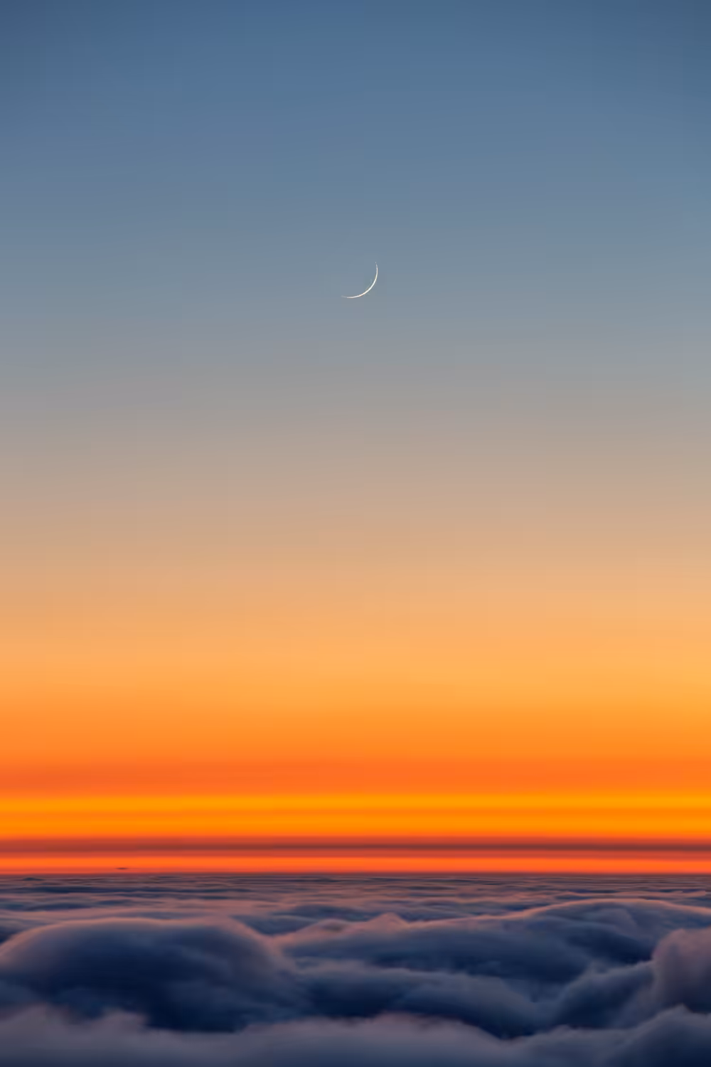 Summer Moon #1