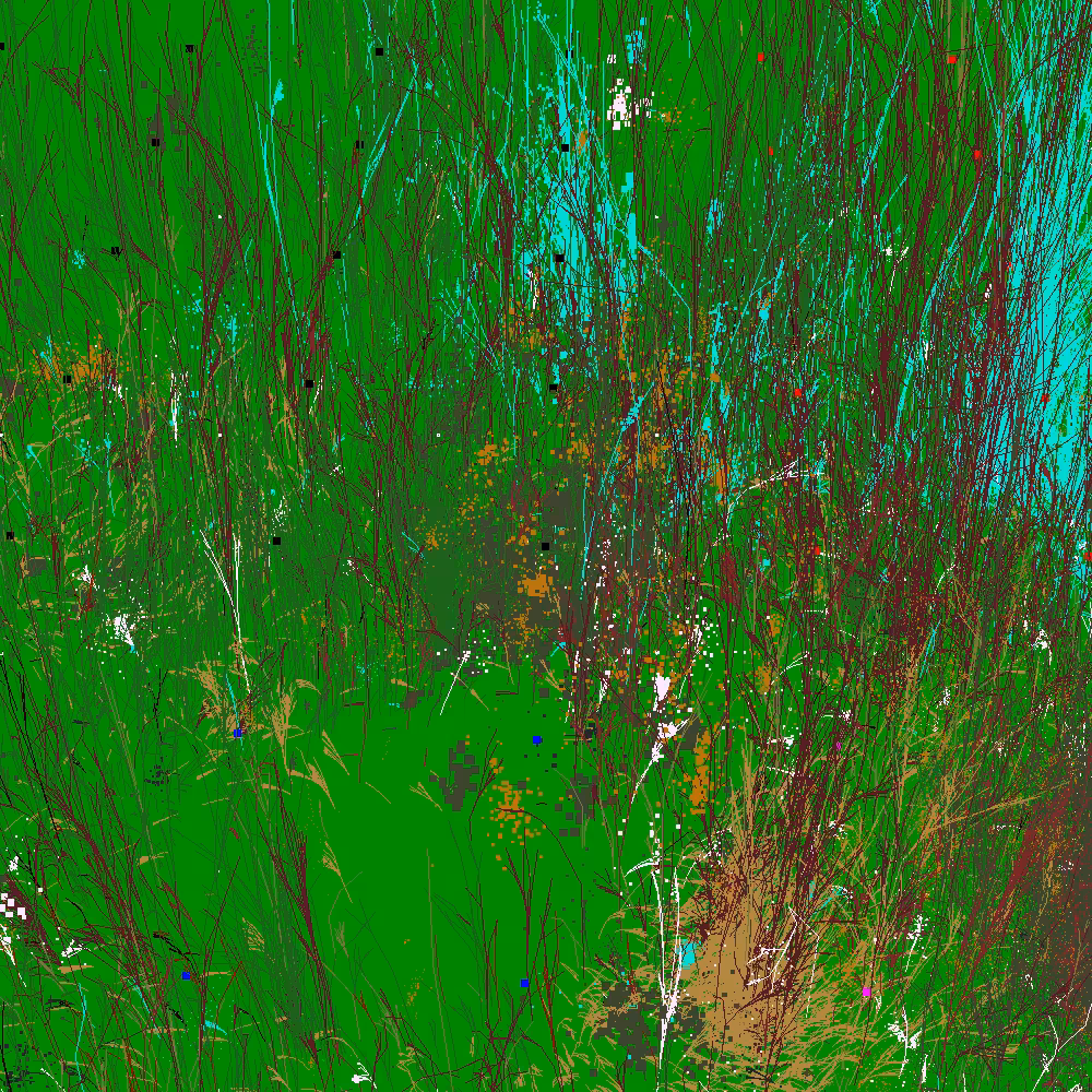 Infinite Garden: 24634 Flowers