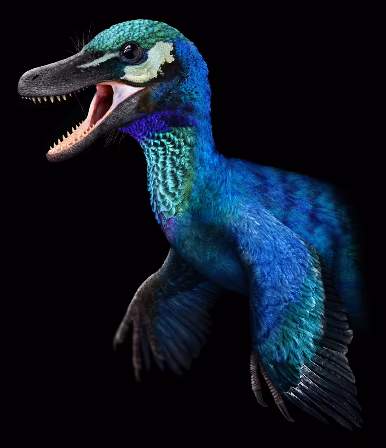 Pyroraptor