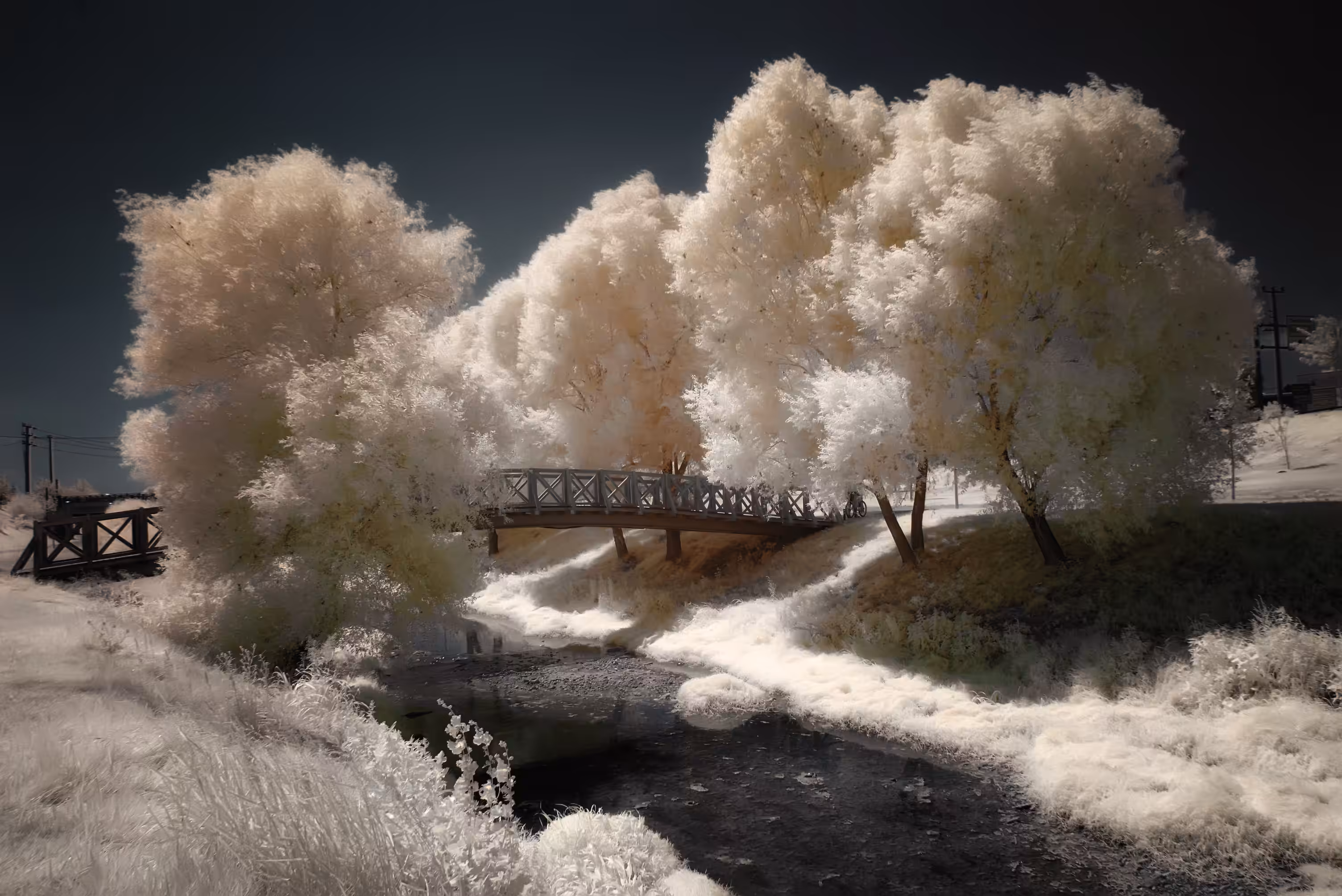 Bridge