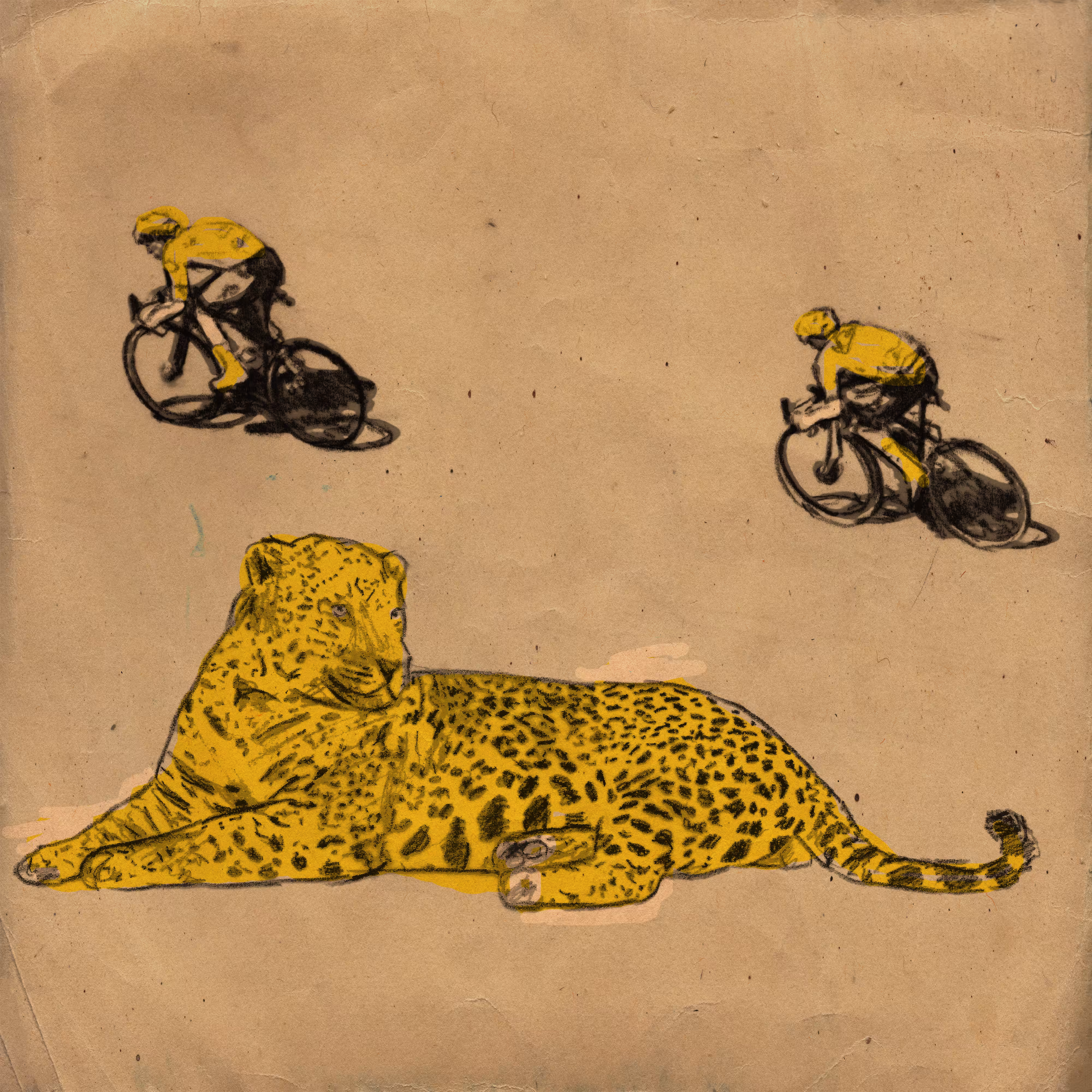 two bicycles