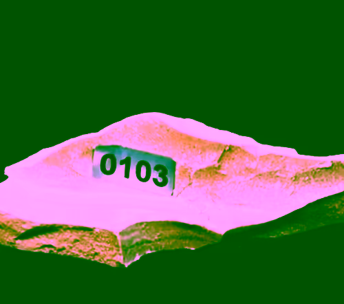 Blockparty: FNTN // 103