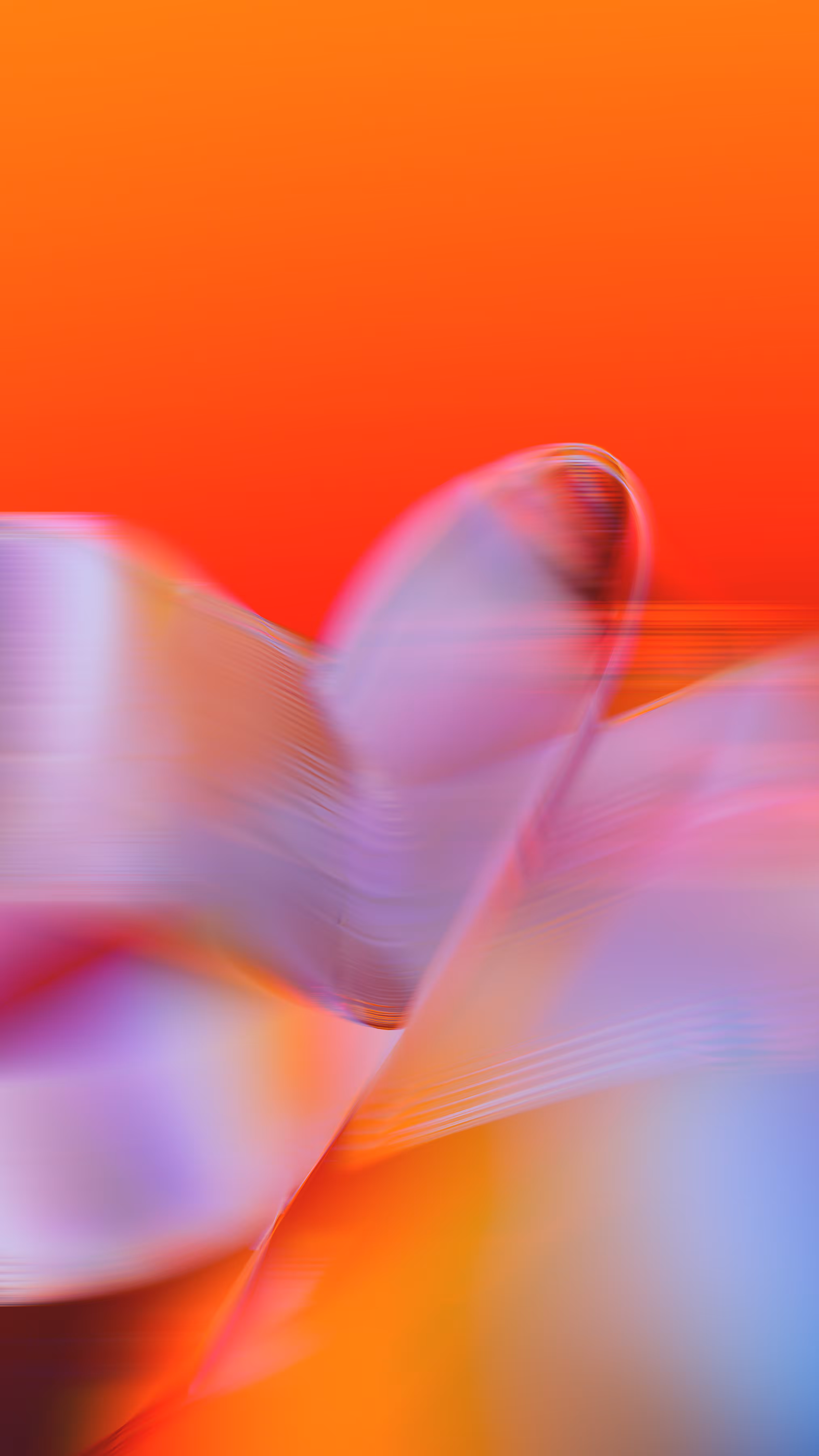 Momentum #153
