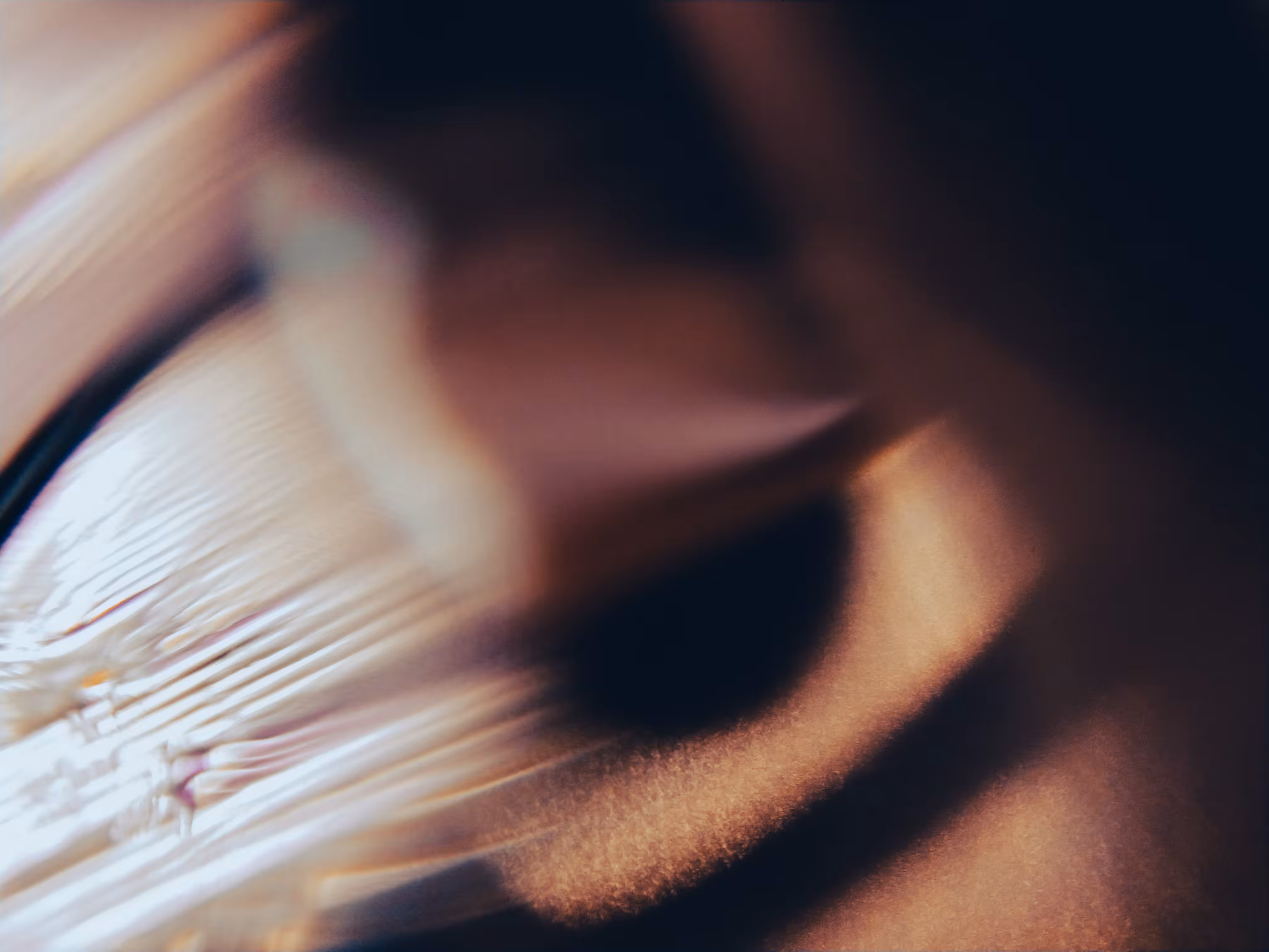 ＯＬ－７７１