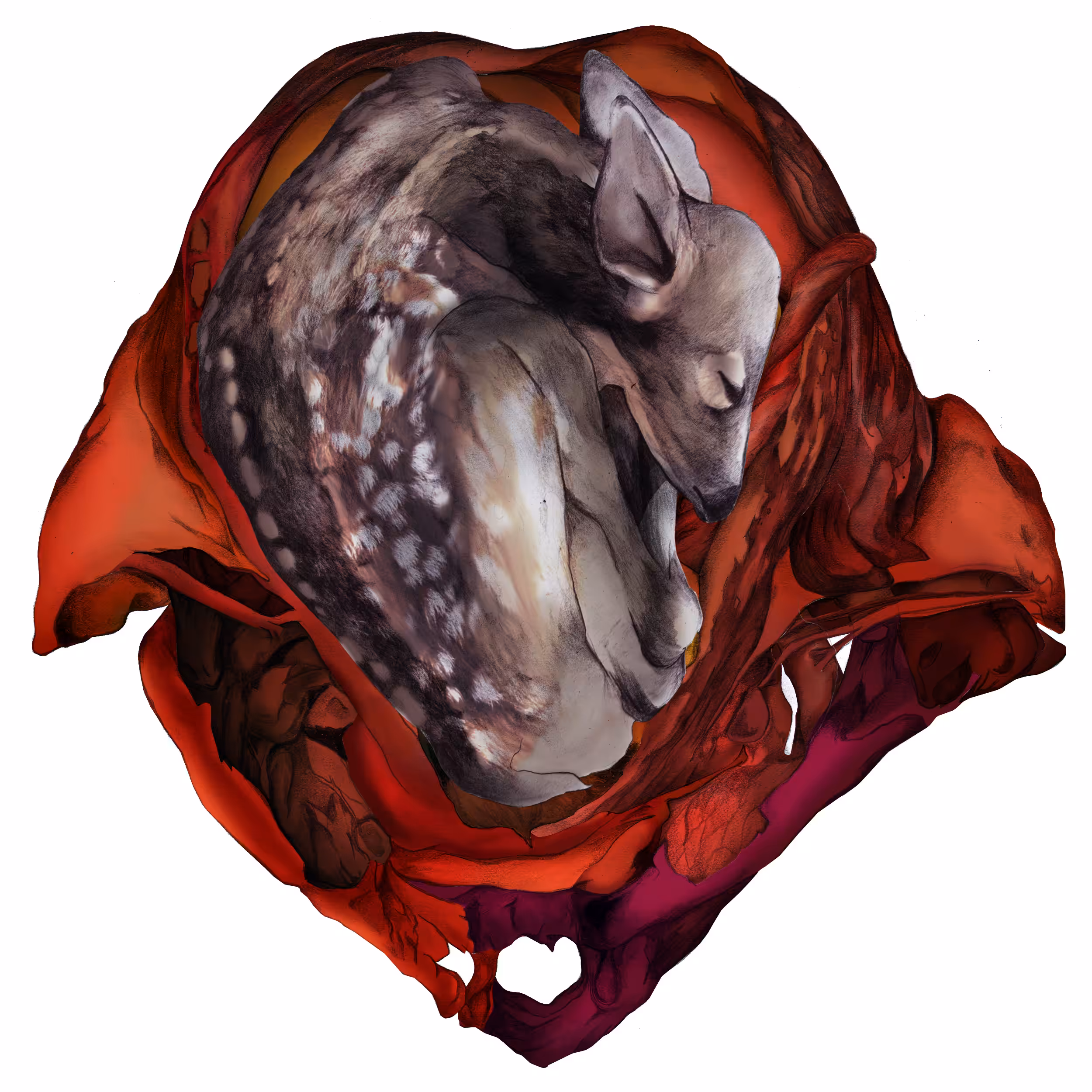 reborn: human-animal interaction