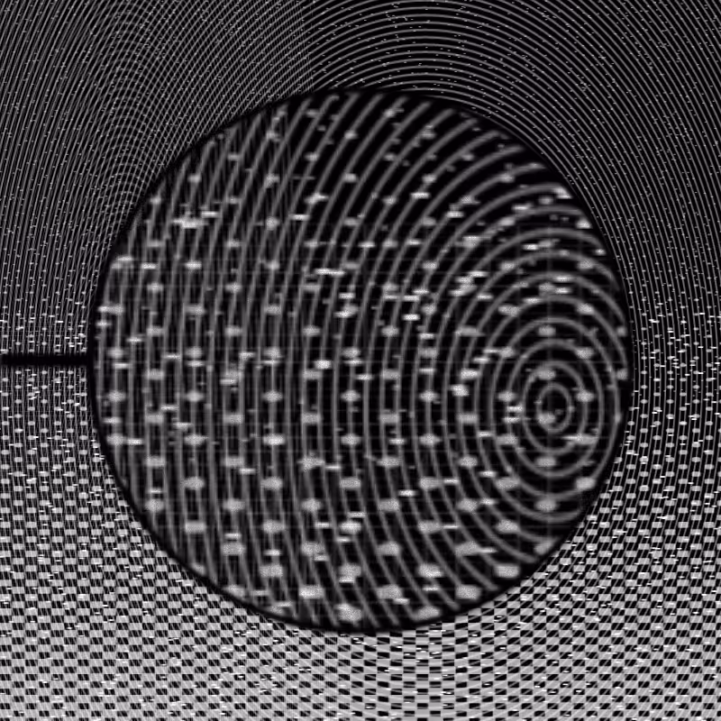 MICROSCOPY #13