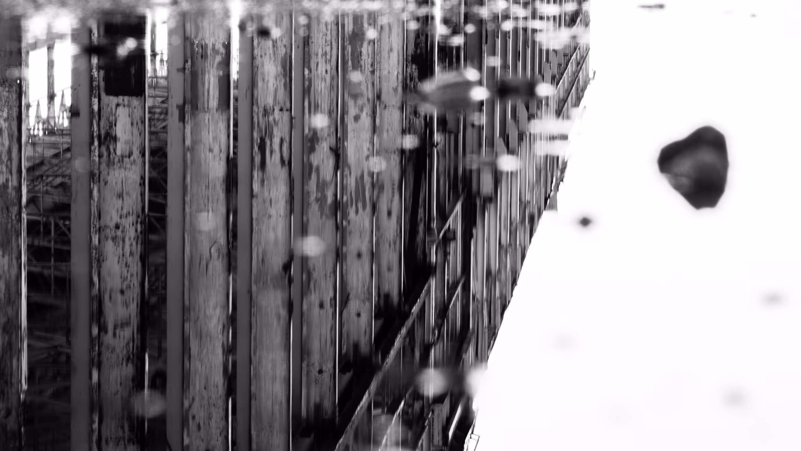 Reflections