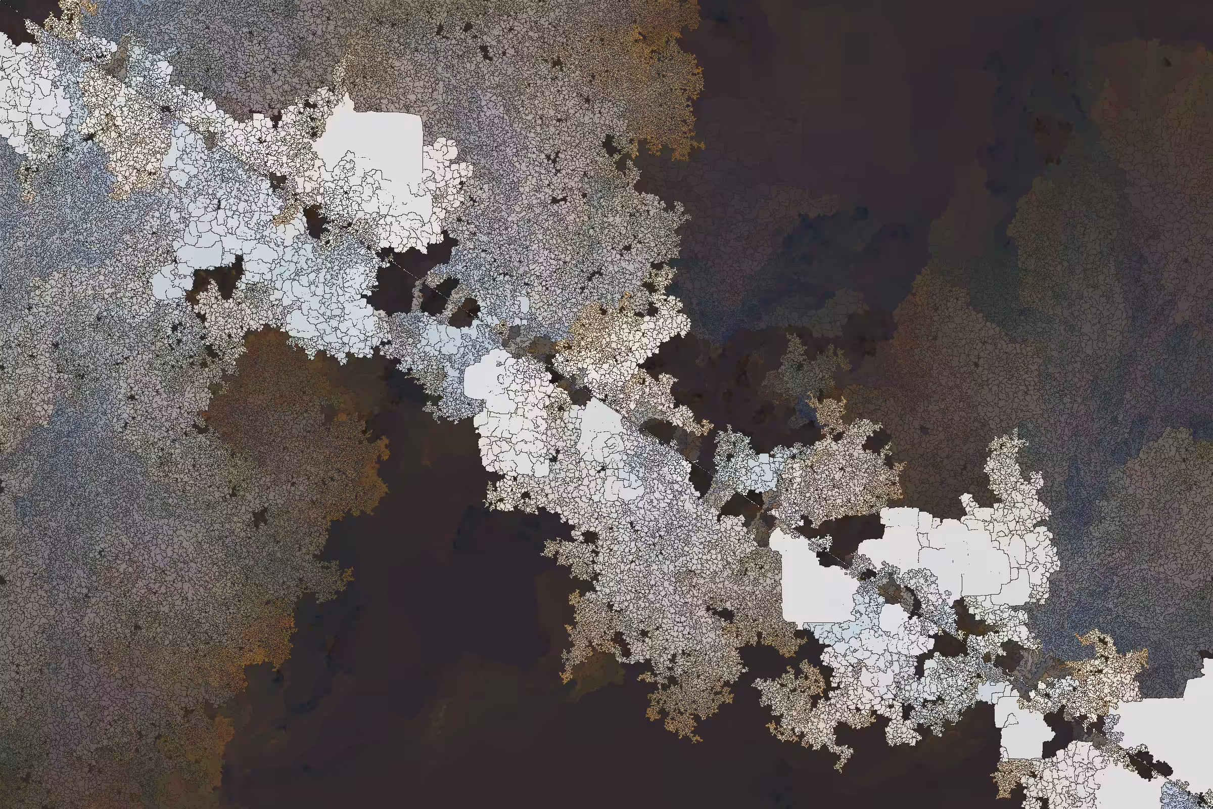 The contrasting color blotches look like a figure coming from the mist of white.