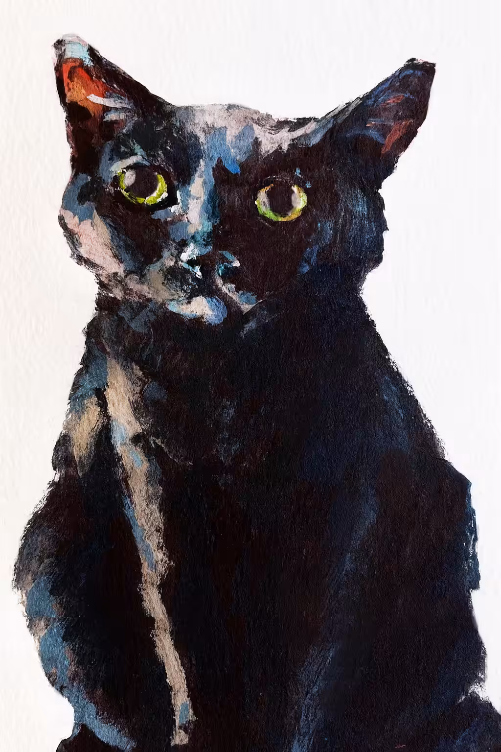 Black Cat Watching