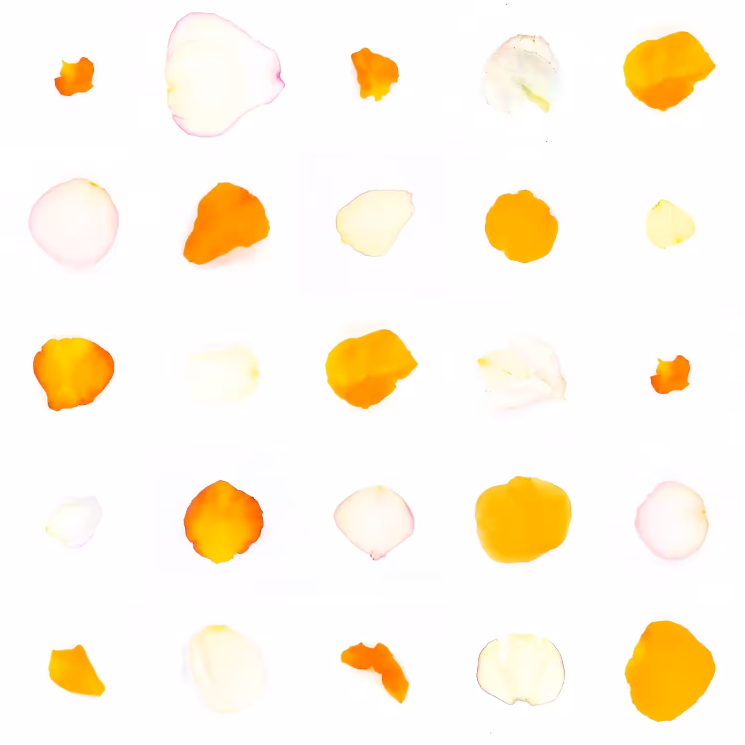 Infinite Petals 5x5#20018