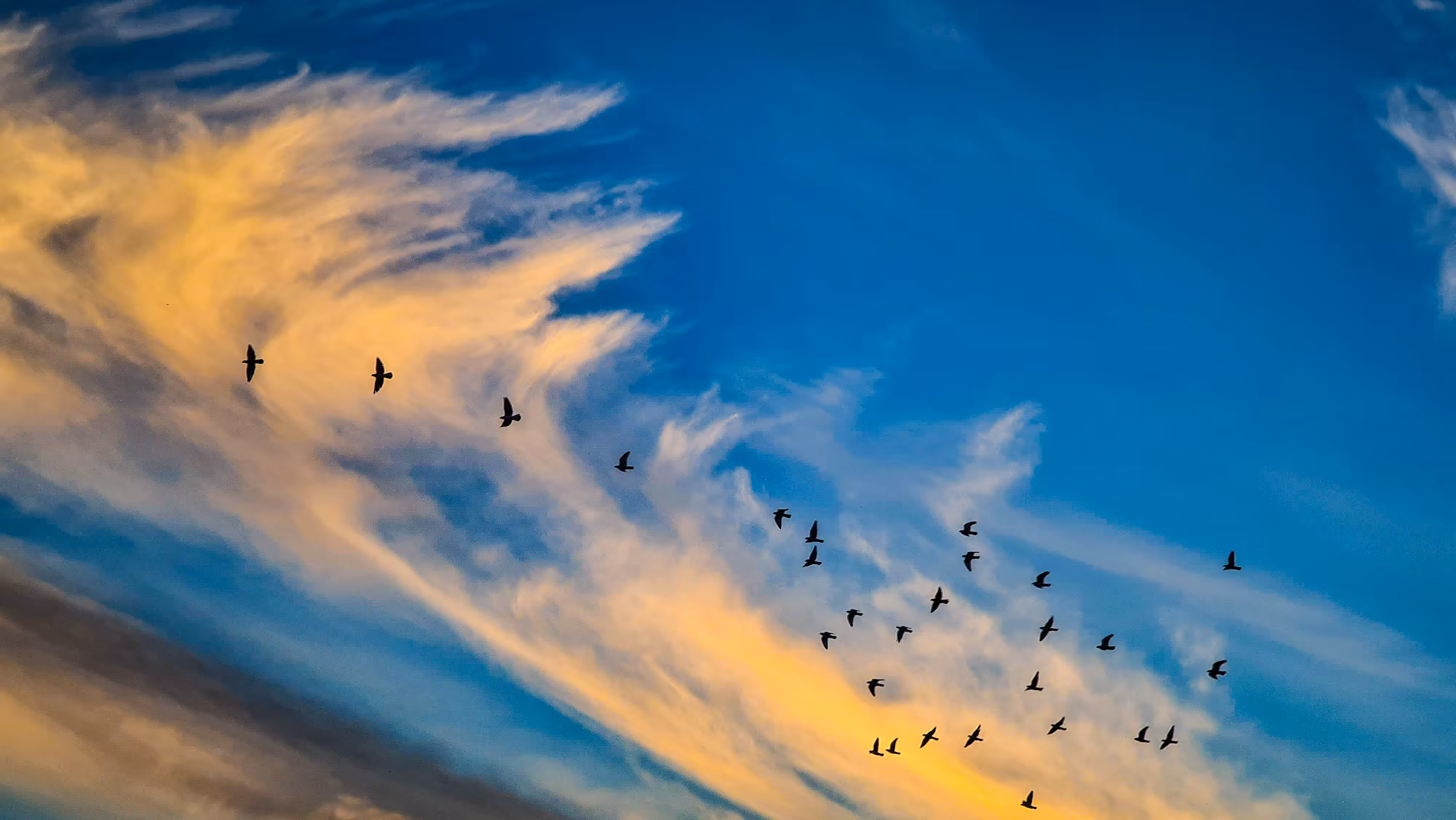 Trace of Flight