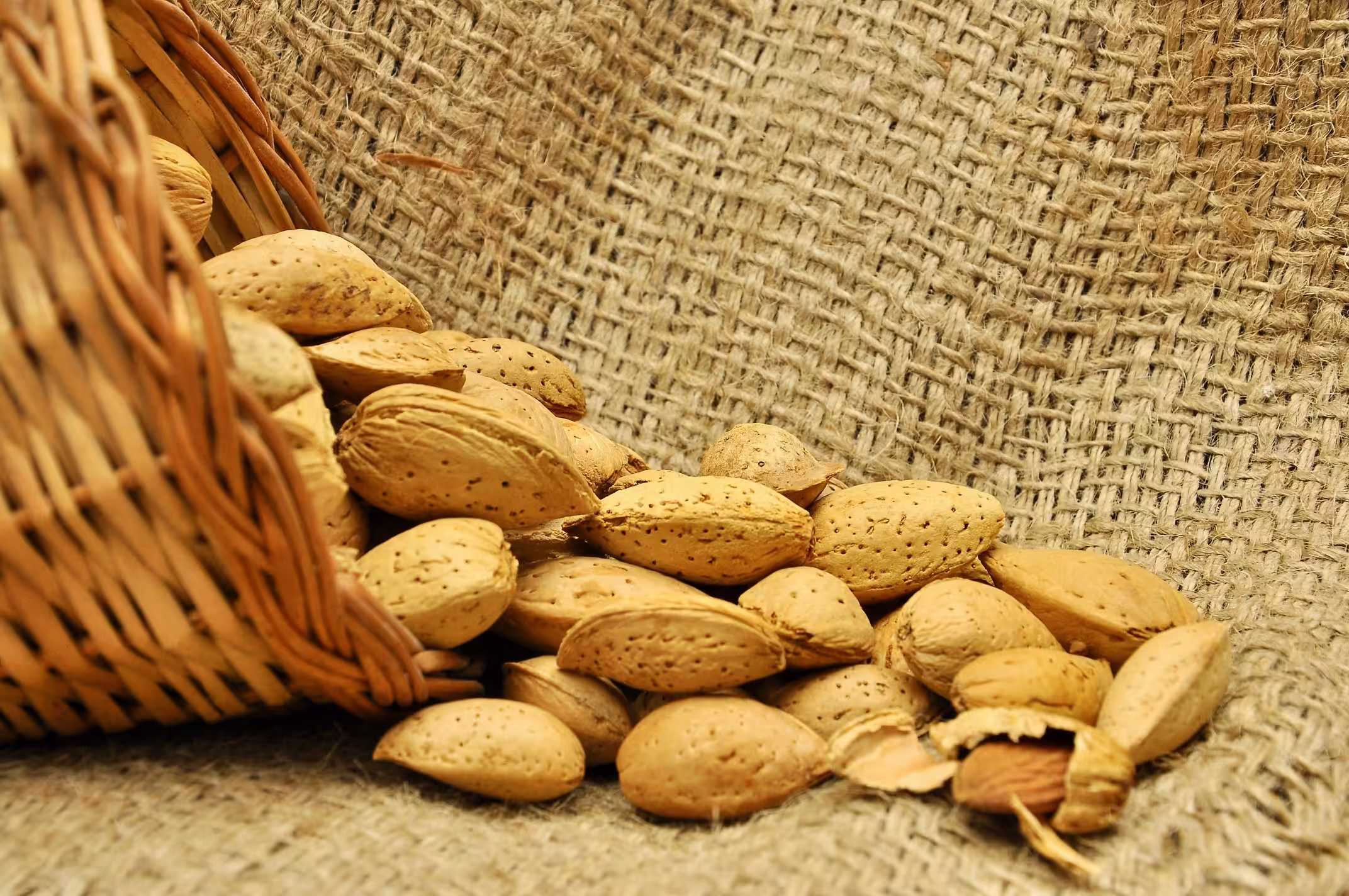 Kashmiri Mamra Almonds