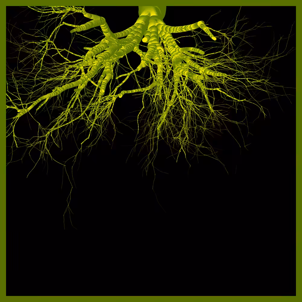Arbres suspendus #102