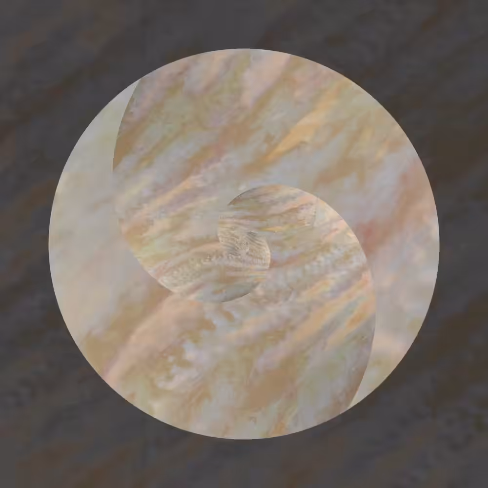Flowing Nautilus #Gold