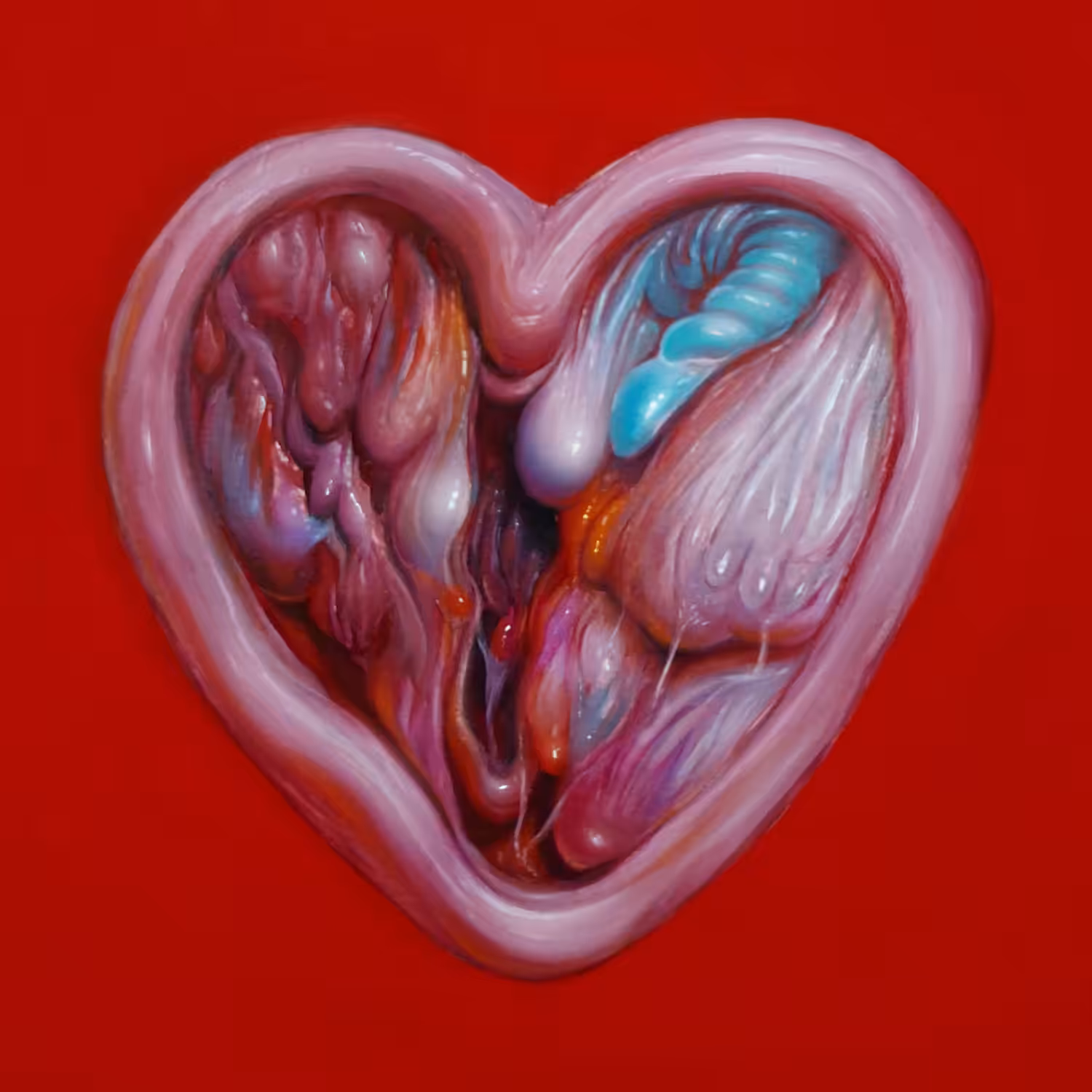 THE ANATOMICAL HEART