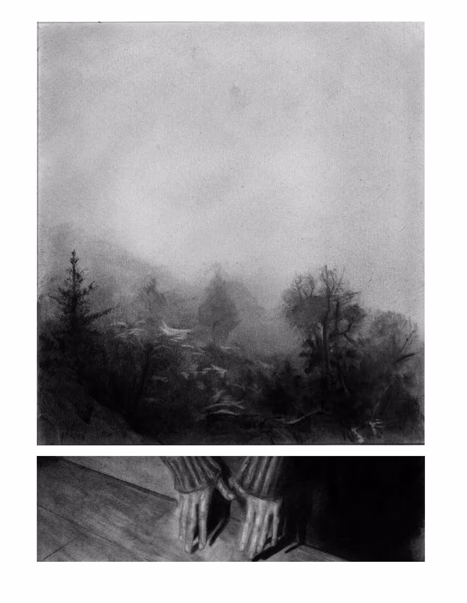 intervened landscape