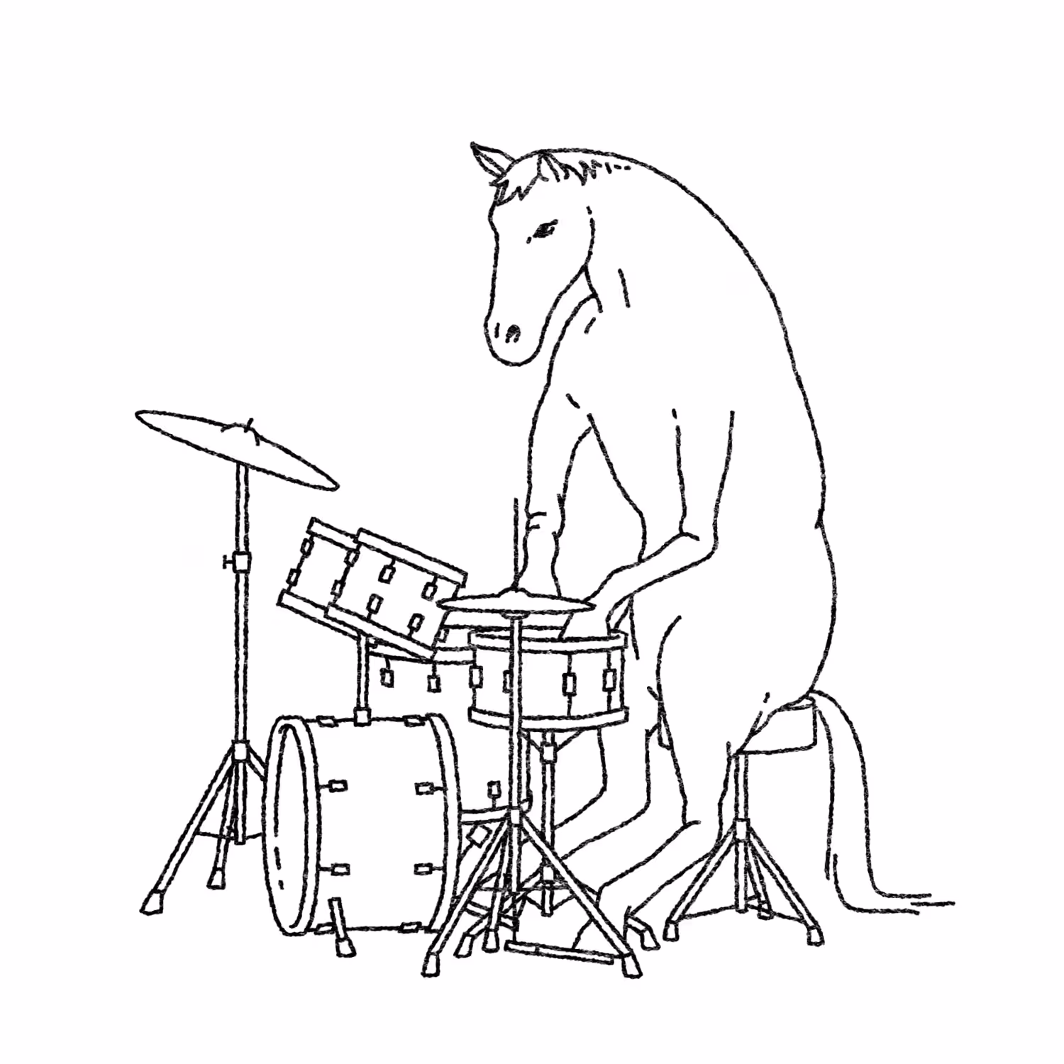 A Horse