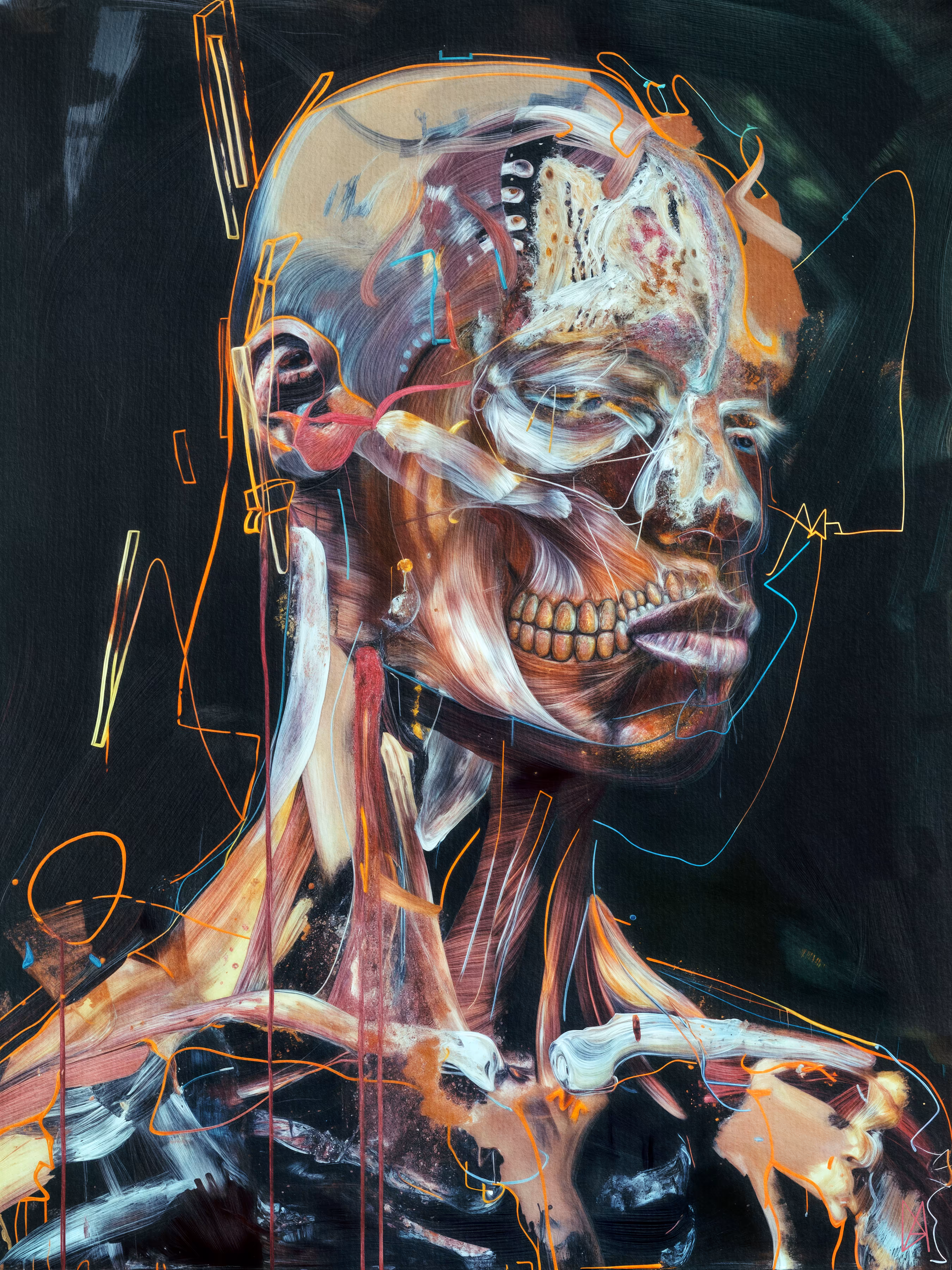 Anatomical Study B.