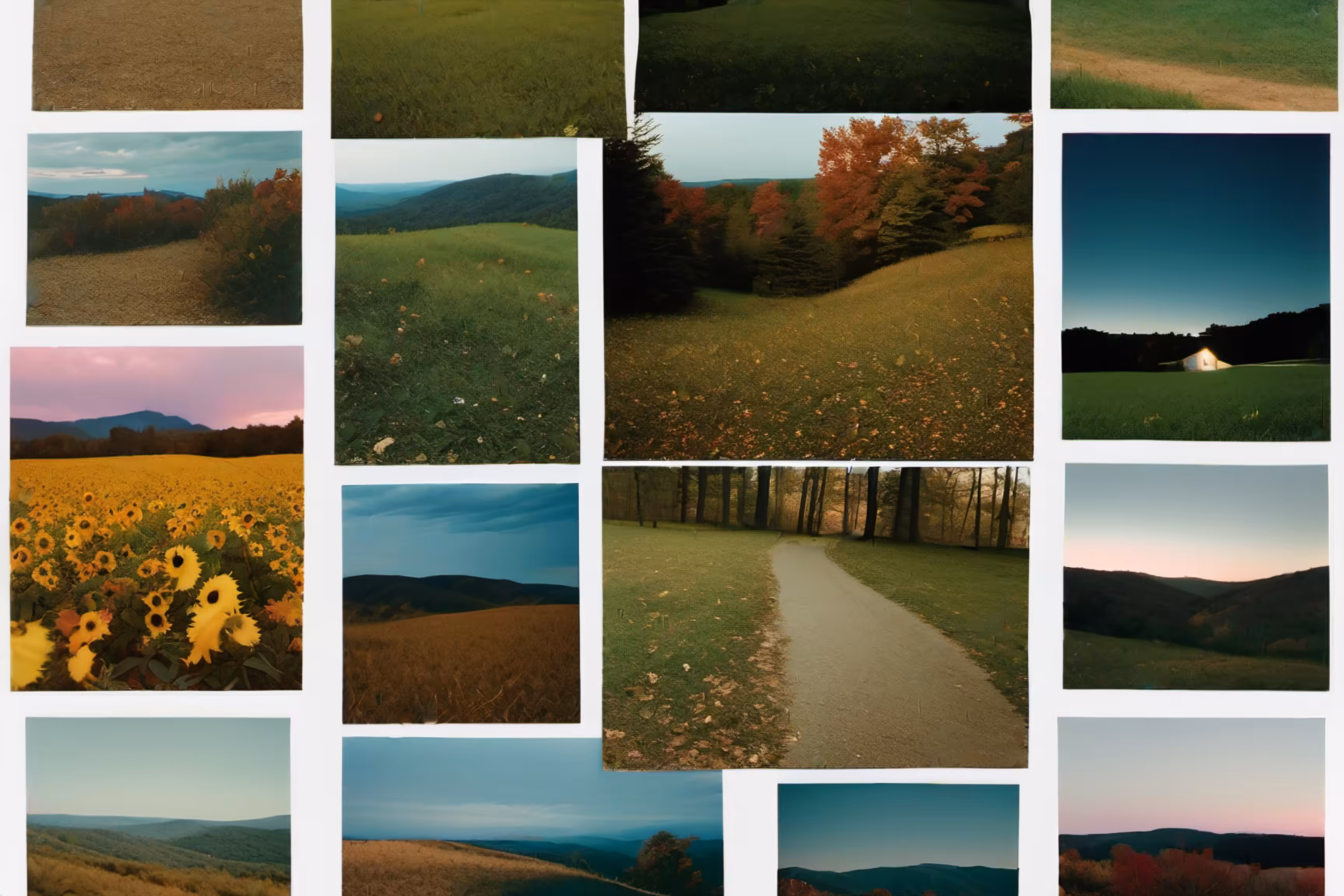 Lonely Landscapes #53