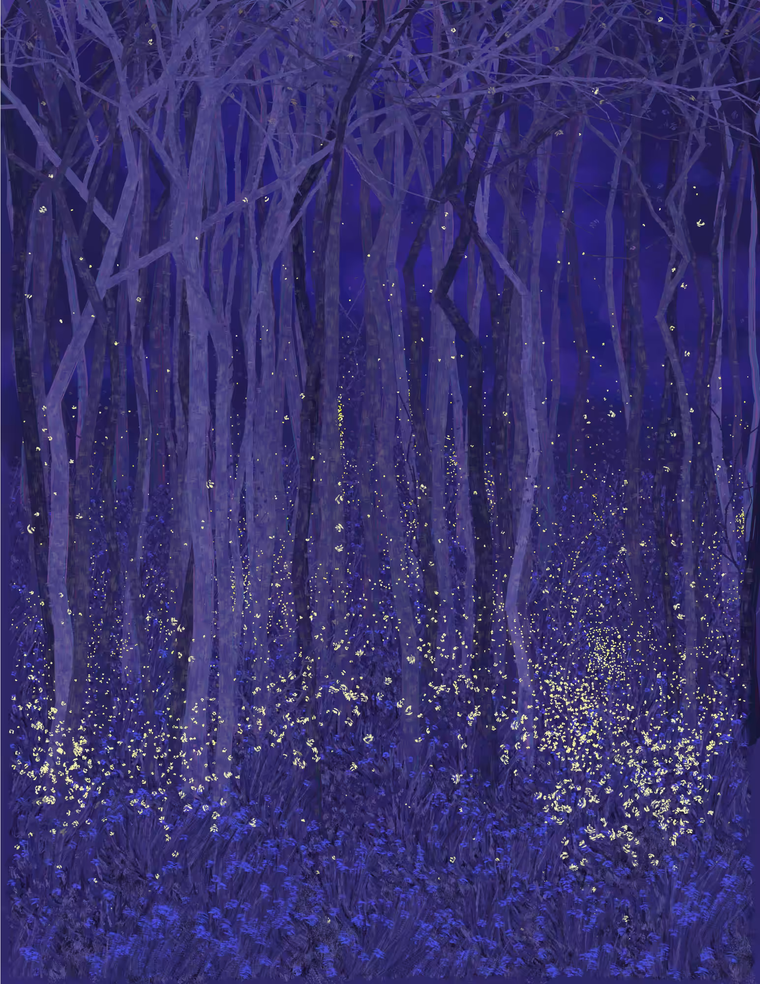 Deep Forest #164