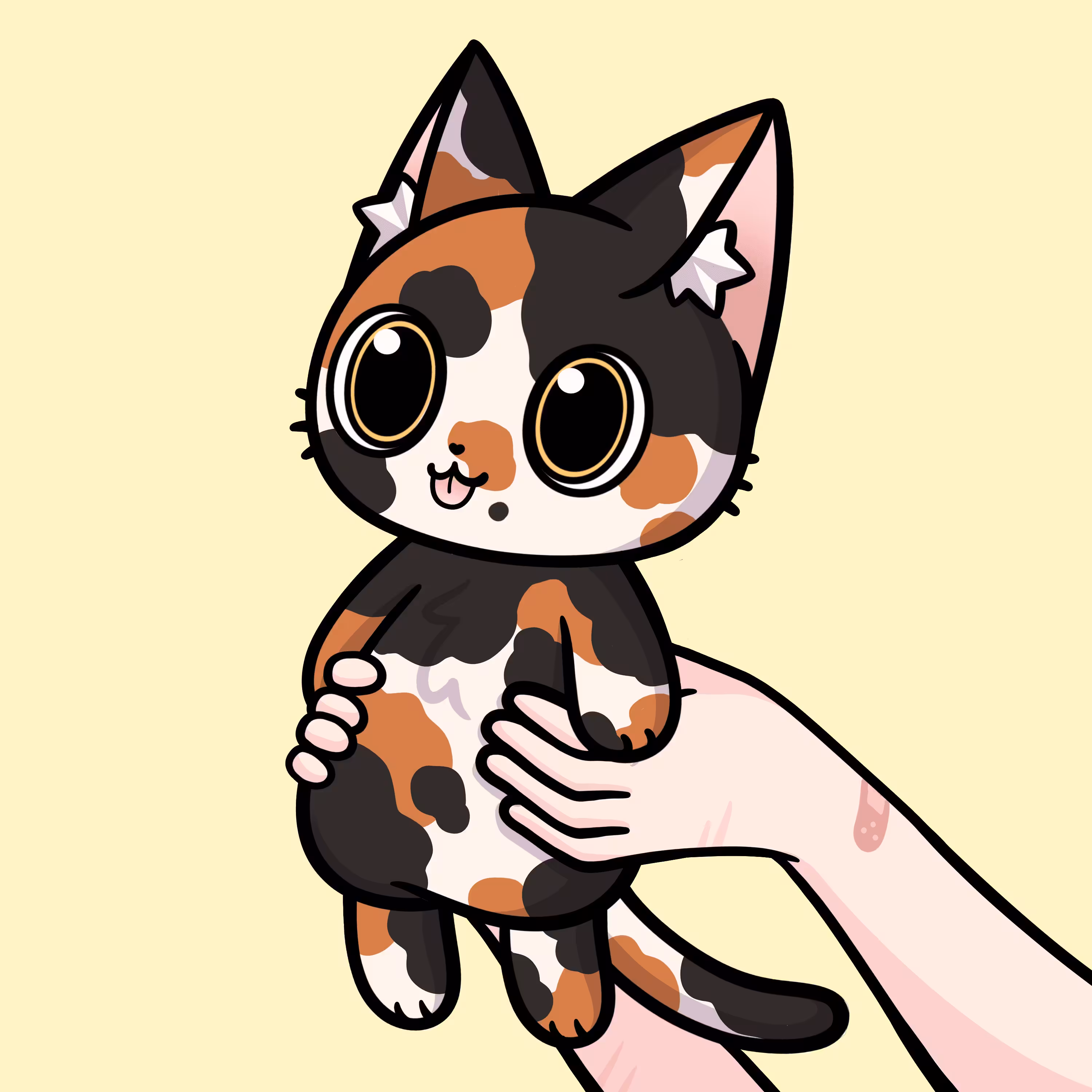 Look at my Calico Cat