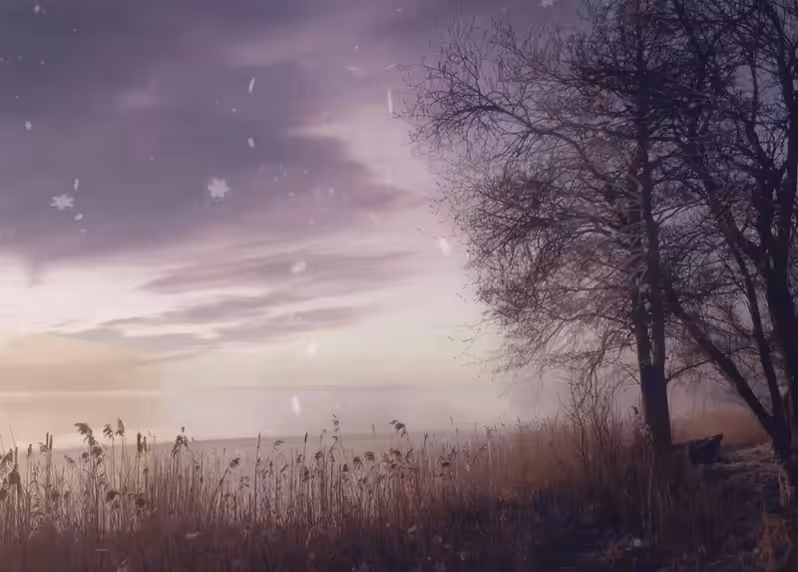 First snow