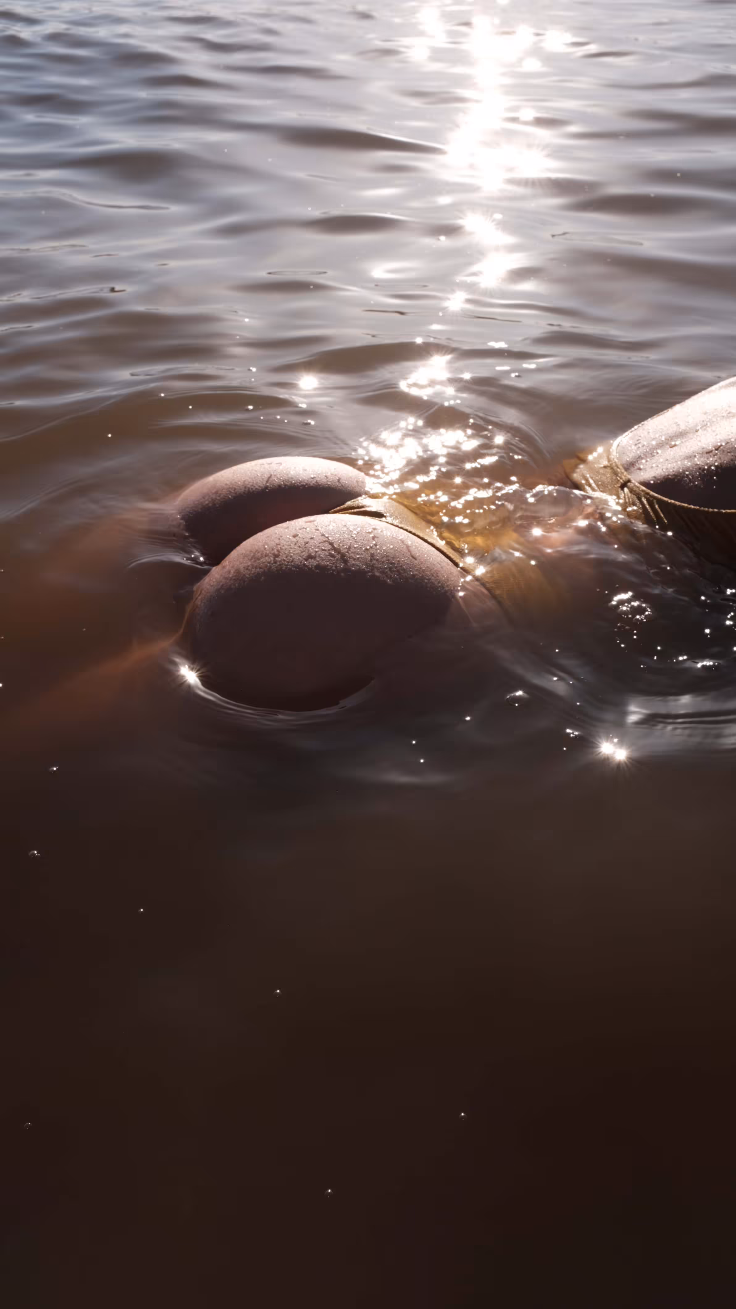 Fantasy in the Paraná River
