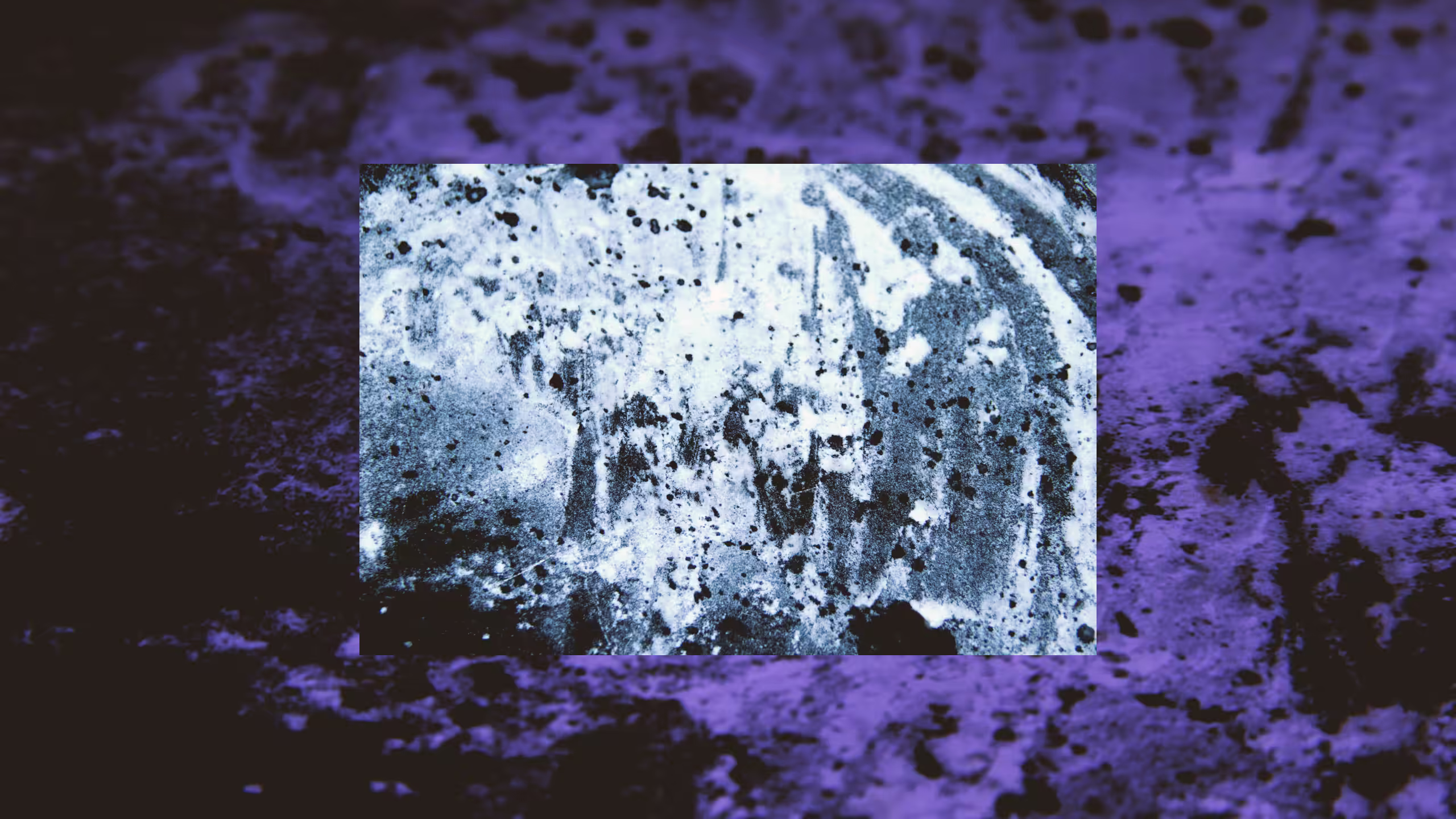 Might Reveal Something