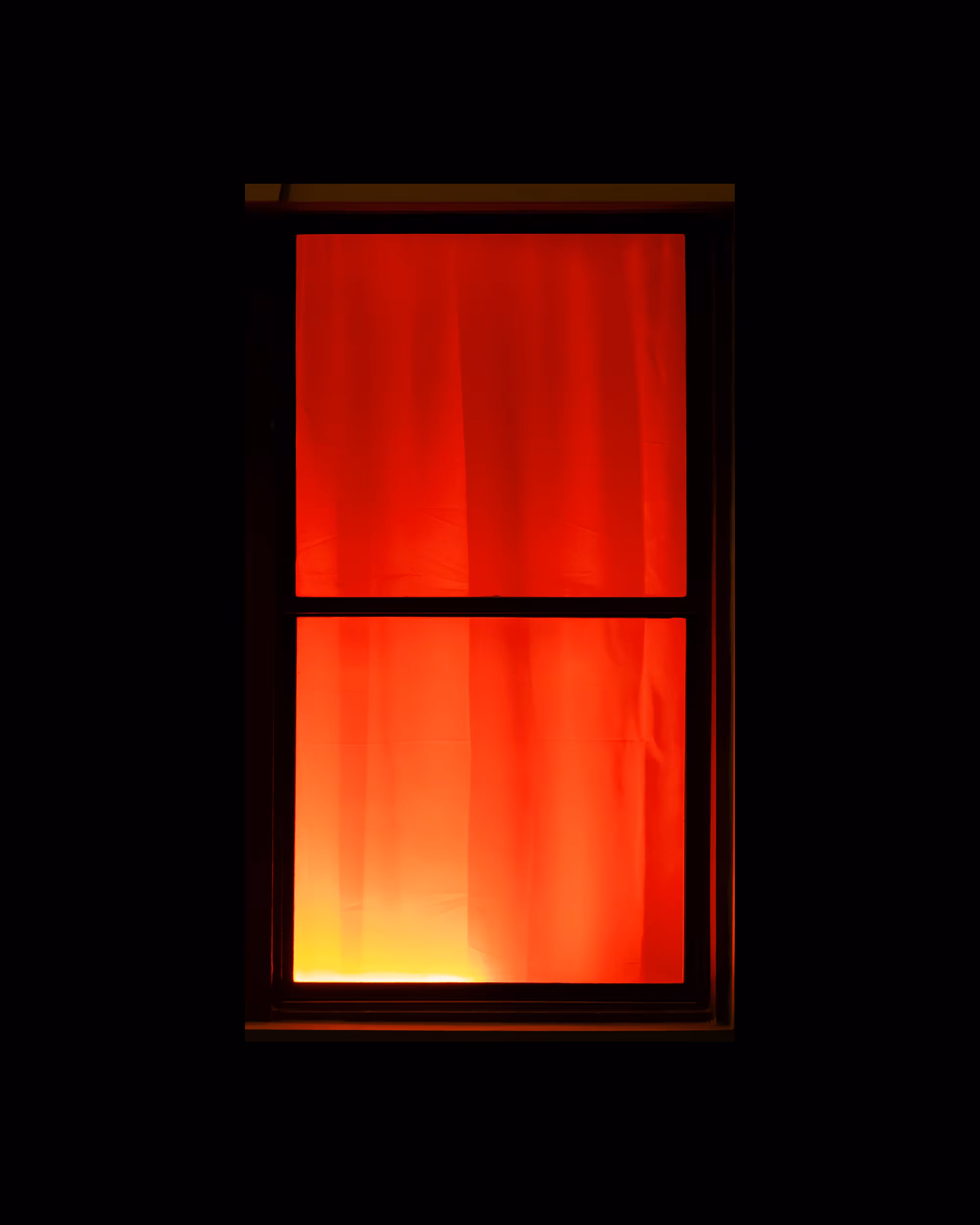 WINDOW 558