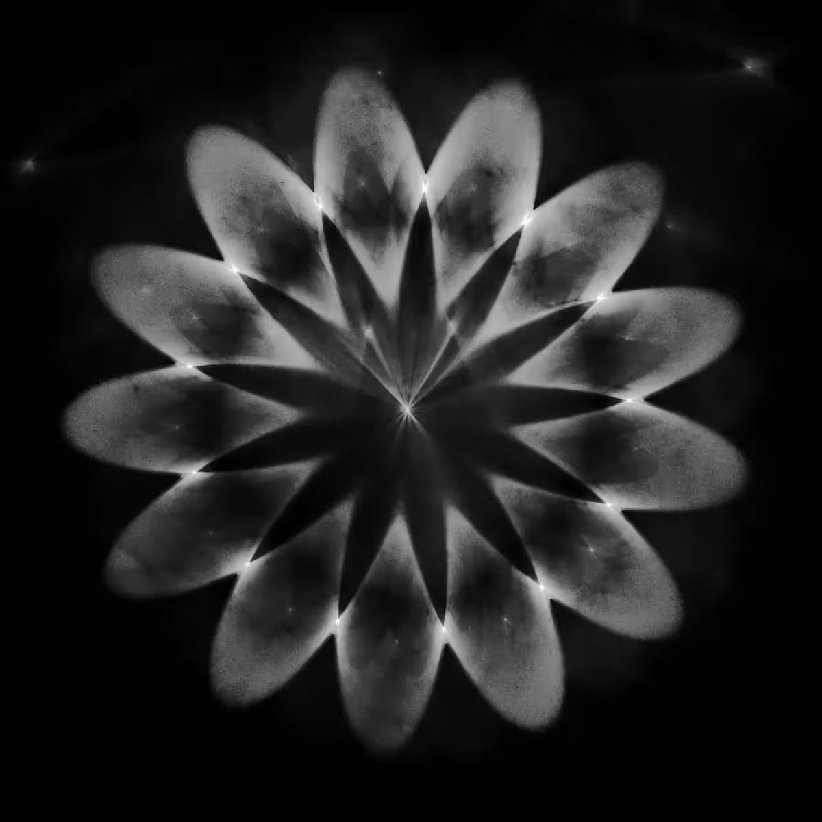 Stellar