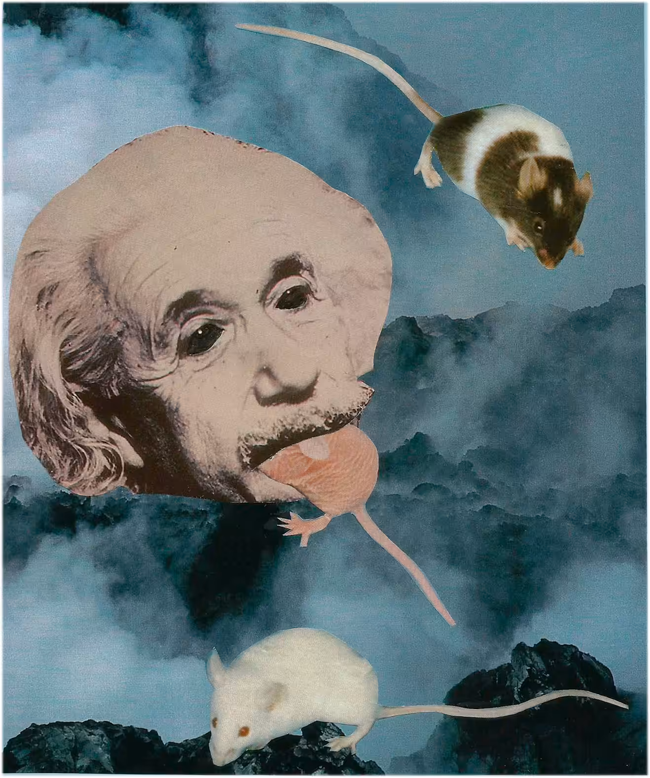 Hungry Einstein