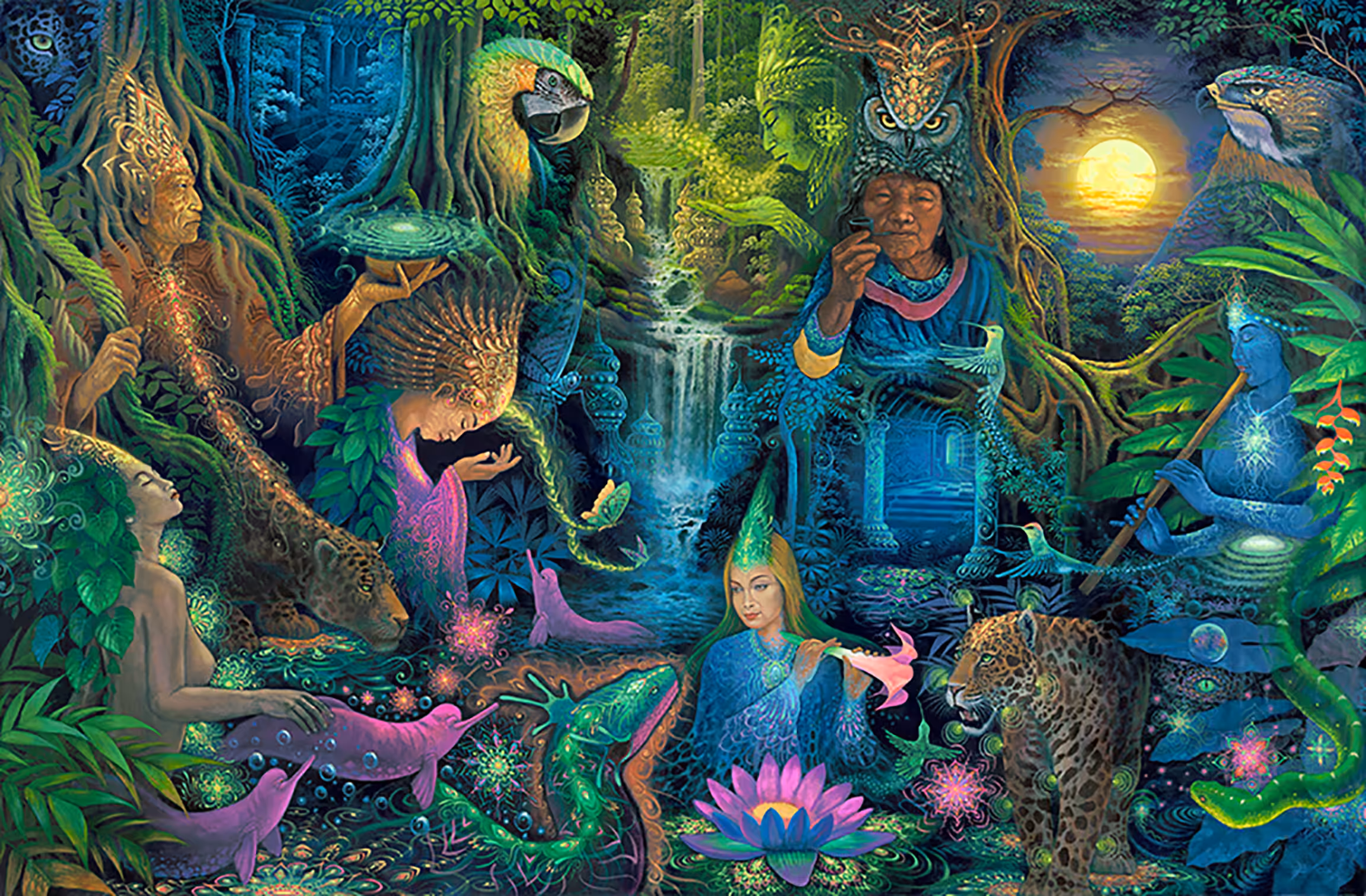  SERES ESPIRITUALES DE LA SELVA