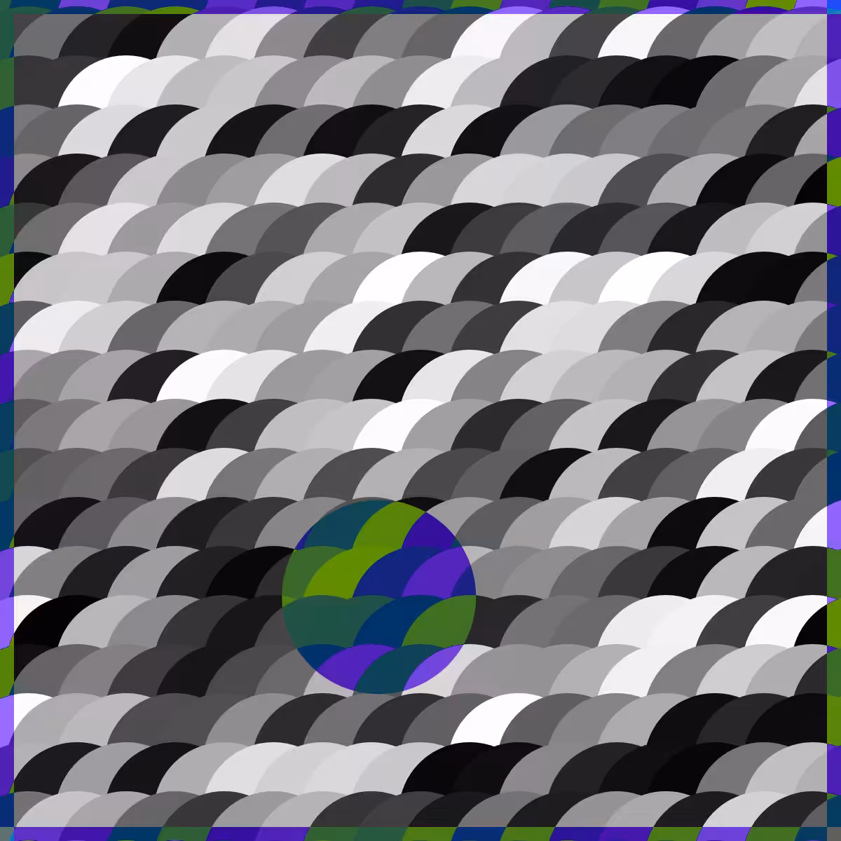 Magnify #3
