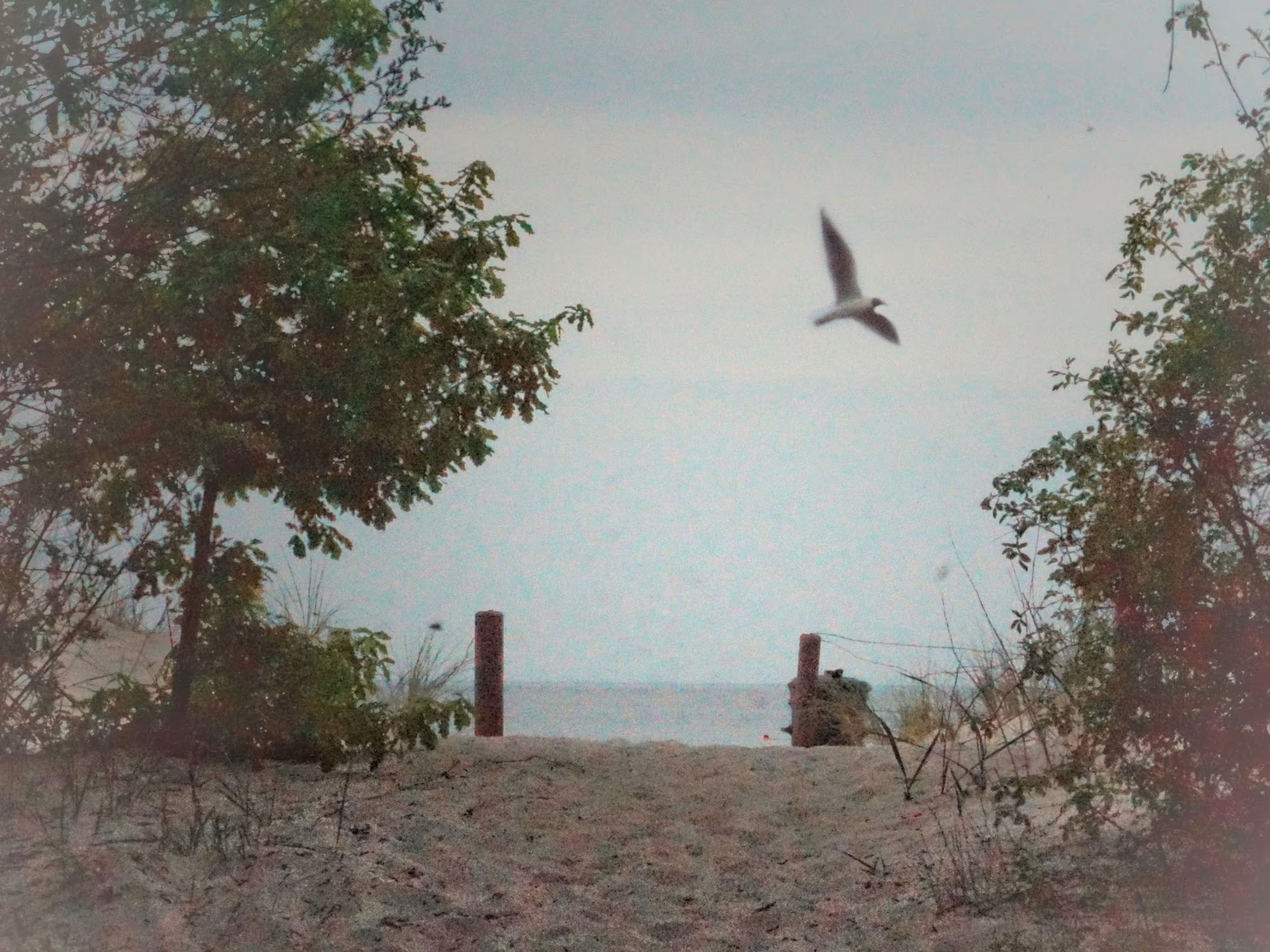 Peaceful Baltic Sea