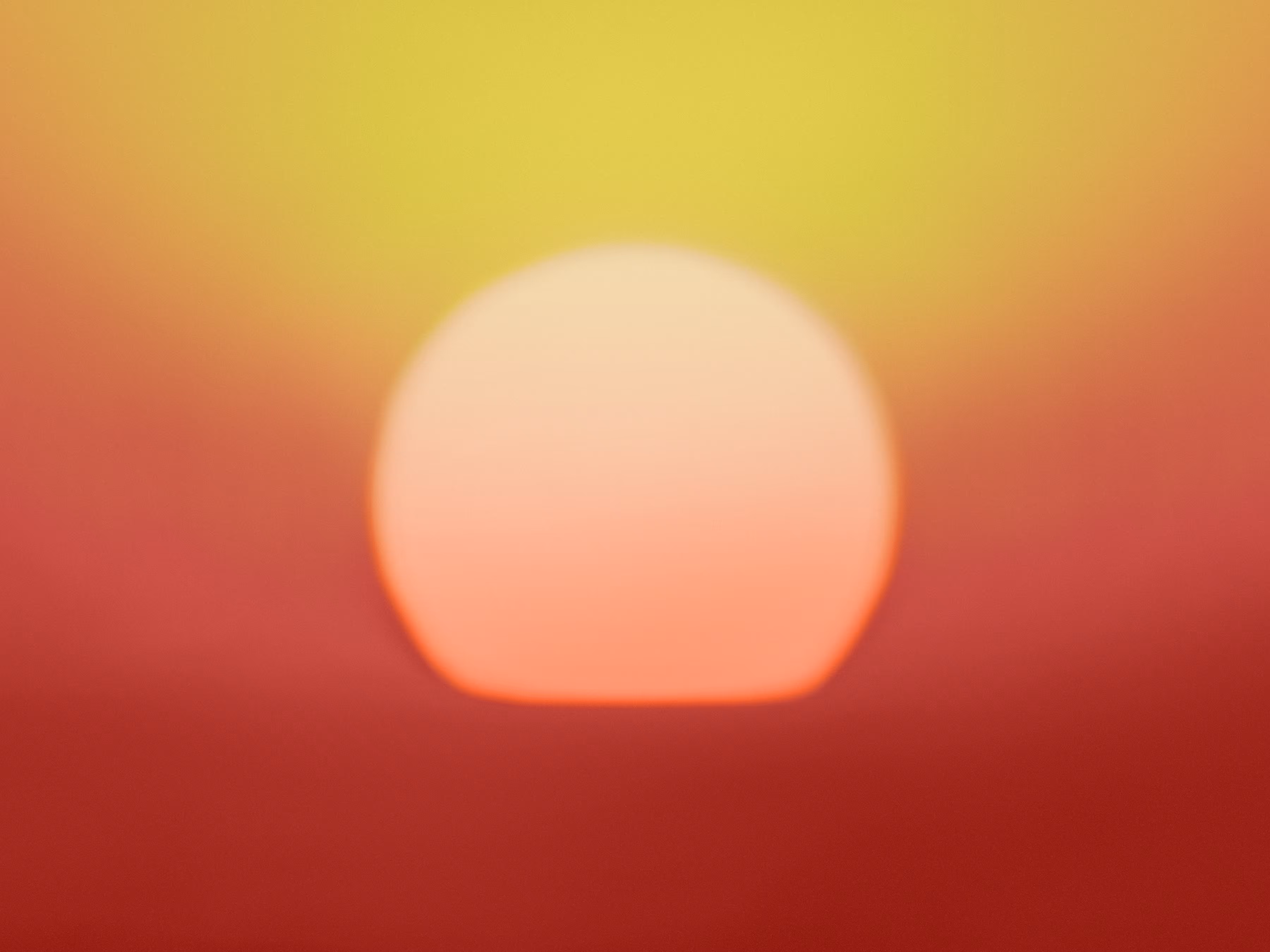 GM Sunshine No29