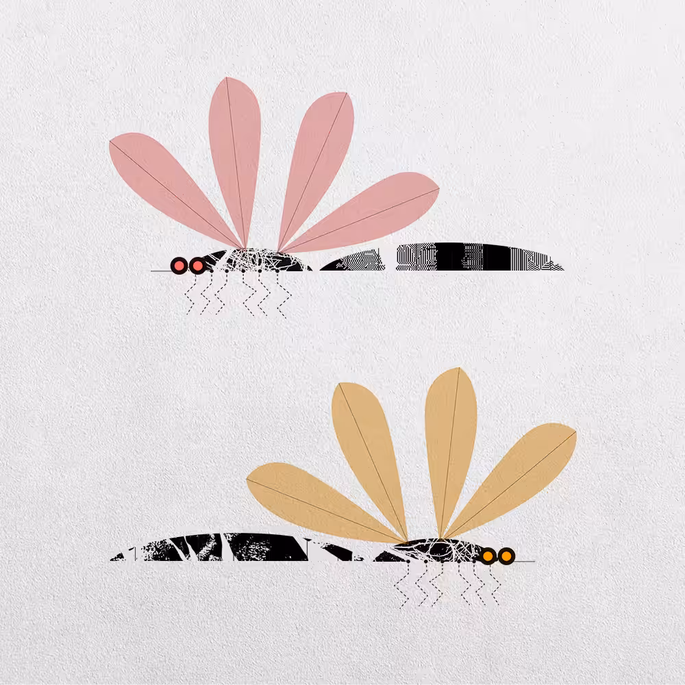 Mosquito Abstraction #14