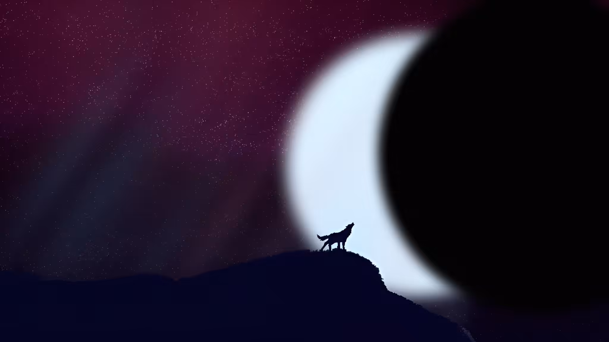 Art Of Abolfazl : Wolf And The Moon 