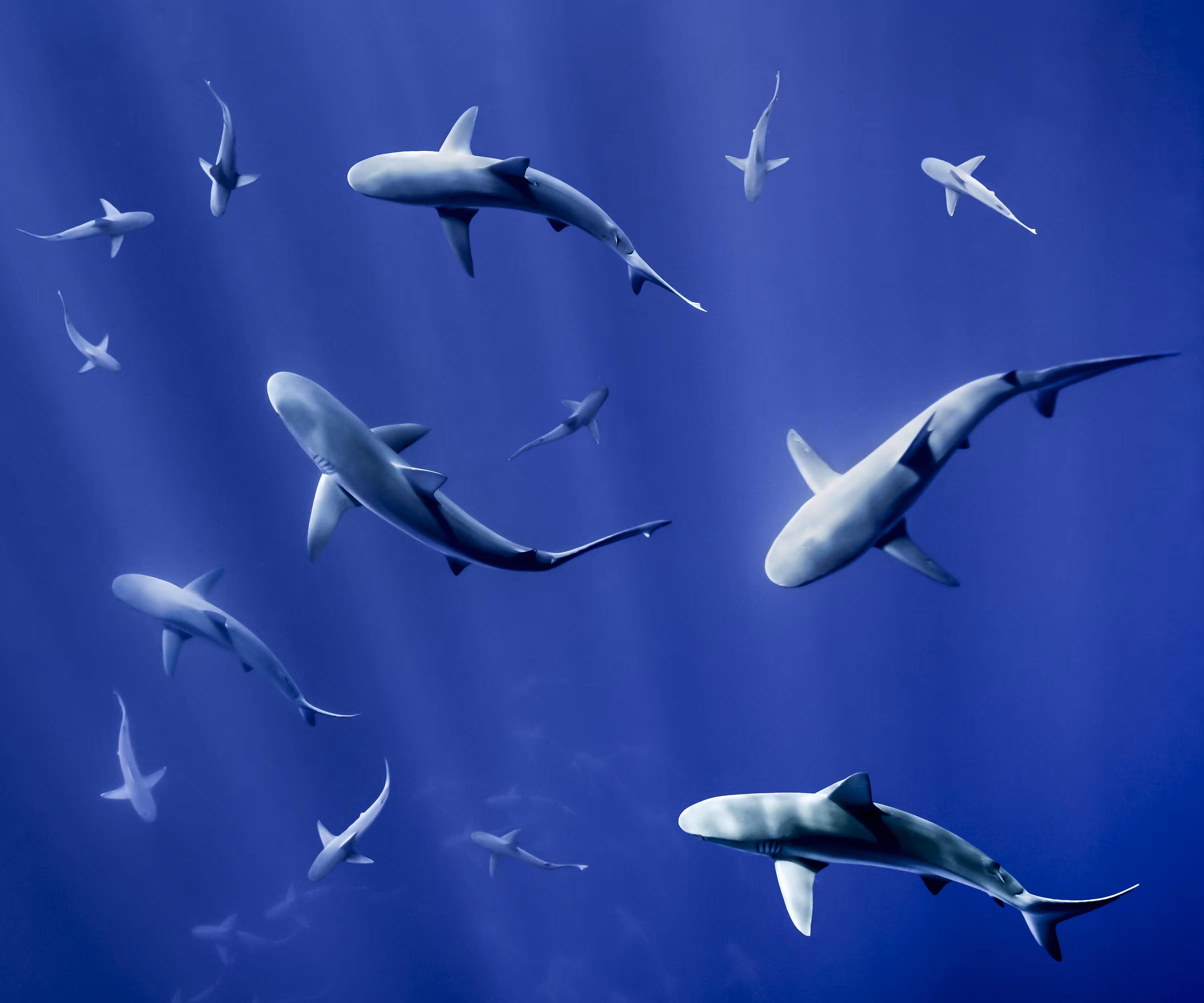 From the Depths