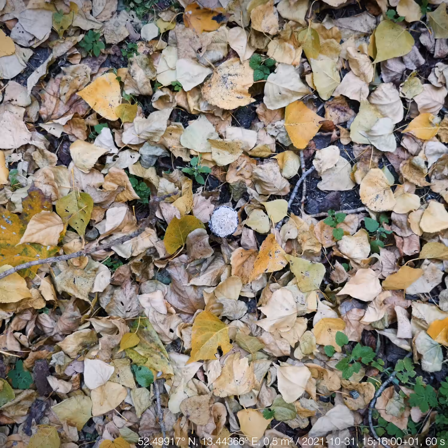 landinzeit #1