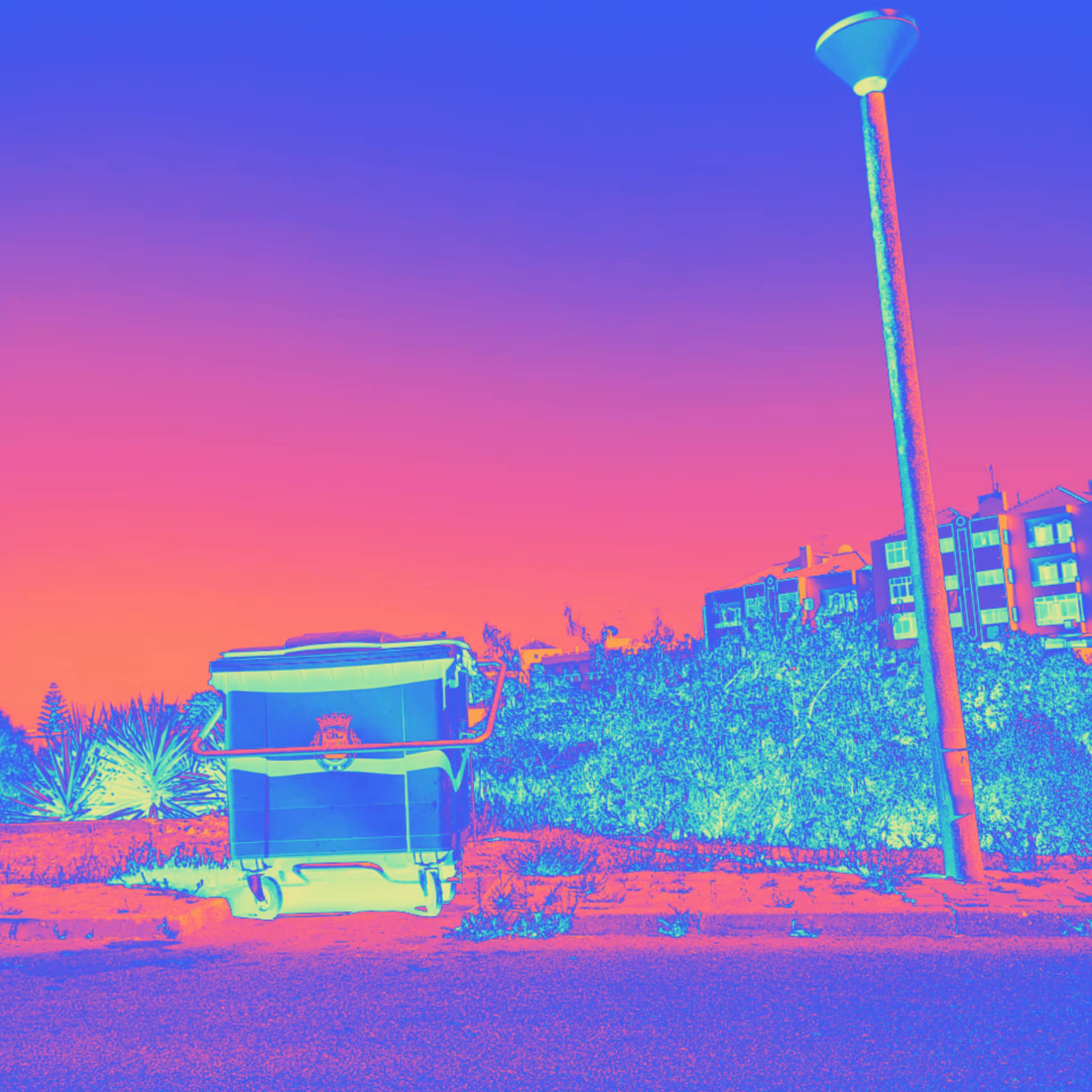Neon Sunset On Trash