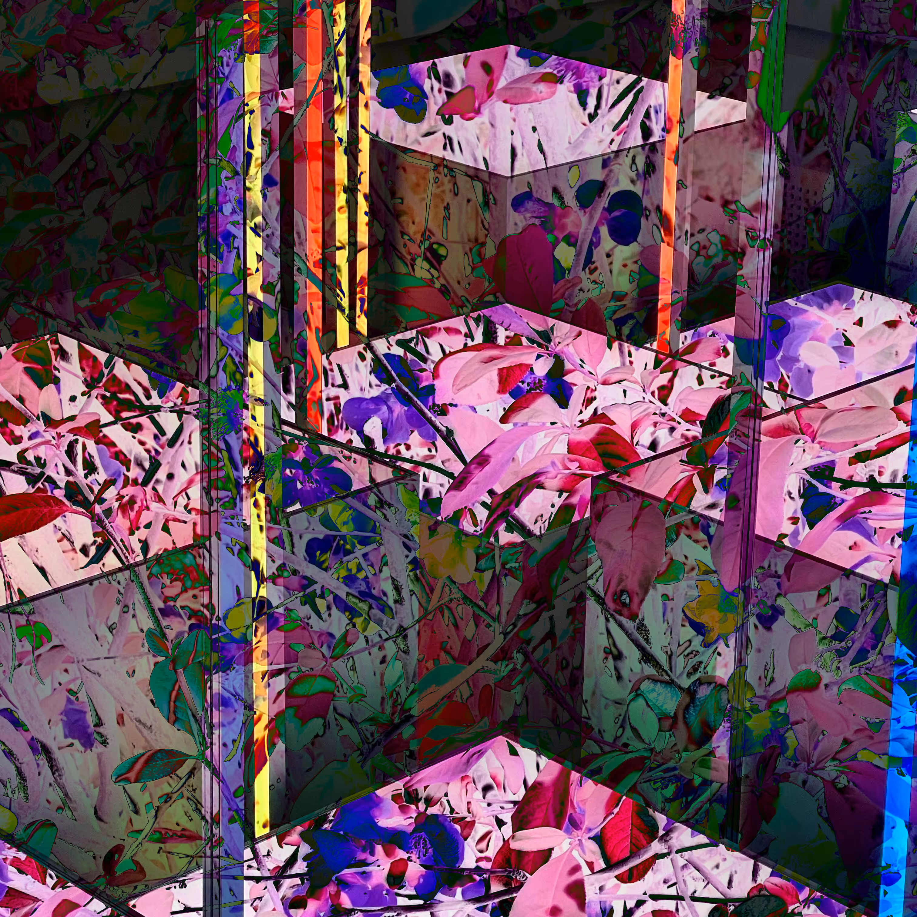 Archispora #4