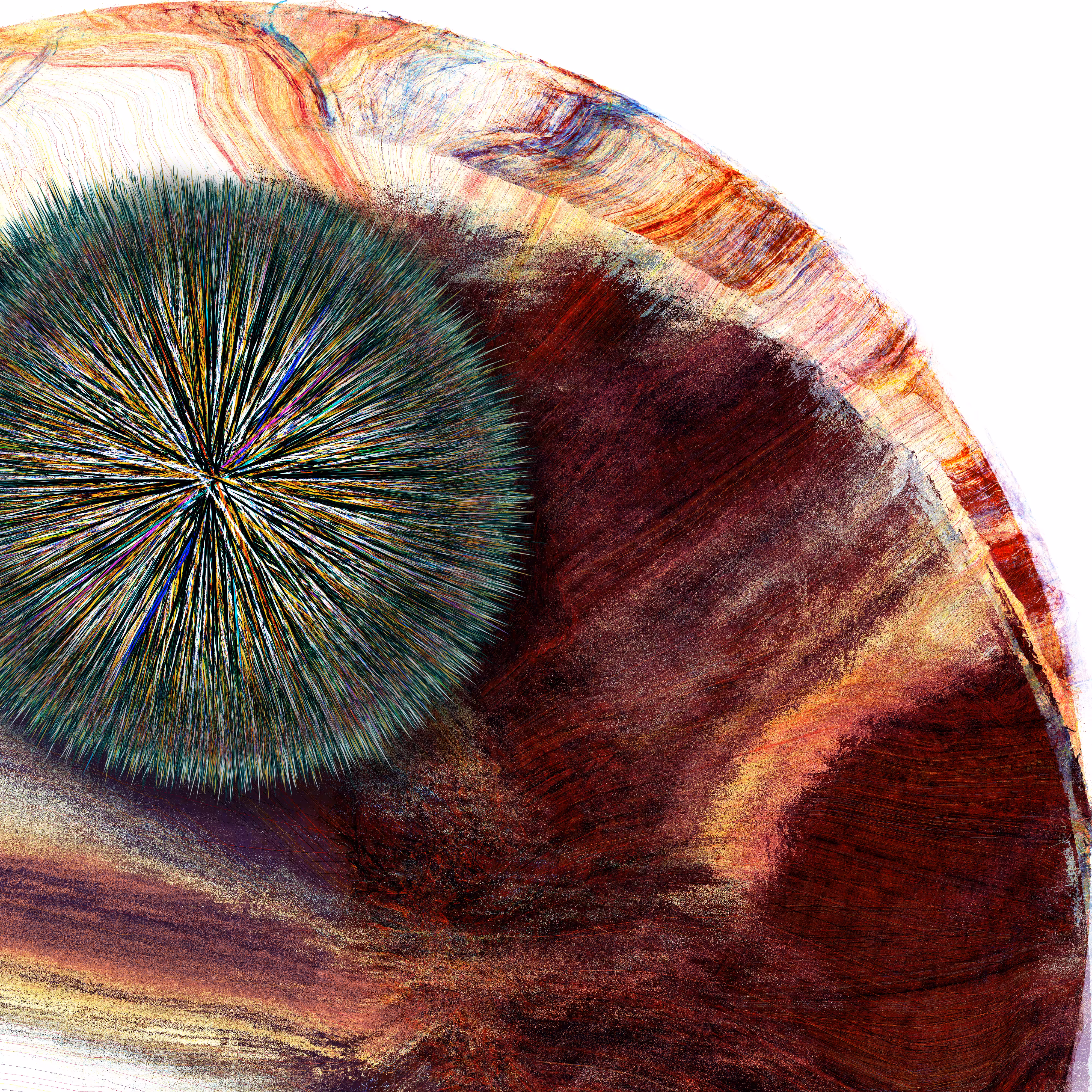 URCHIN #3
