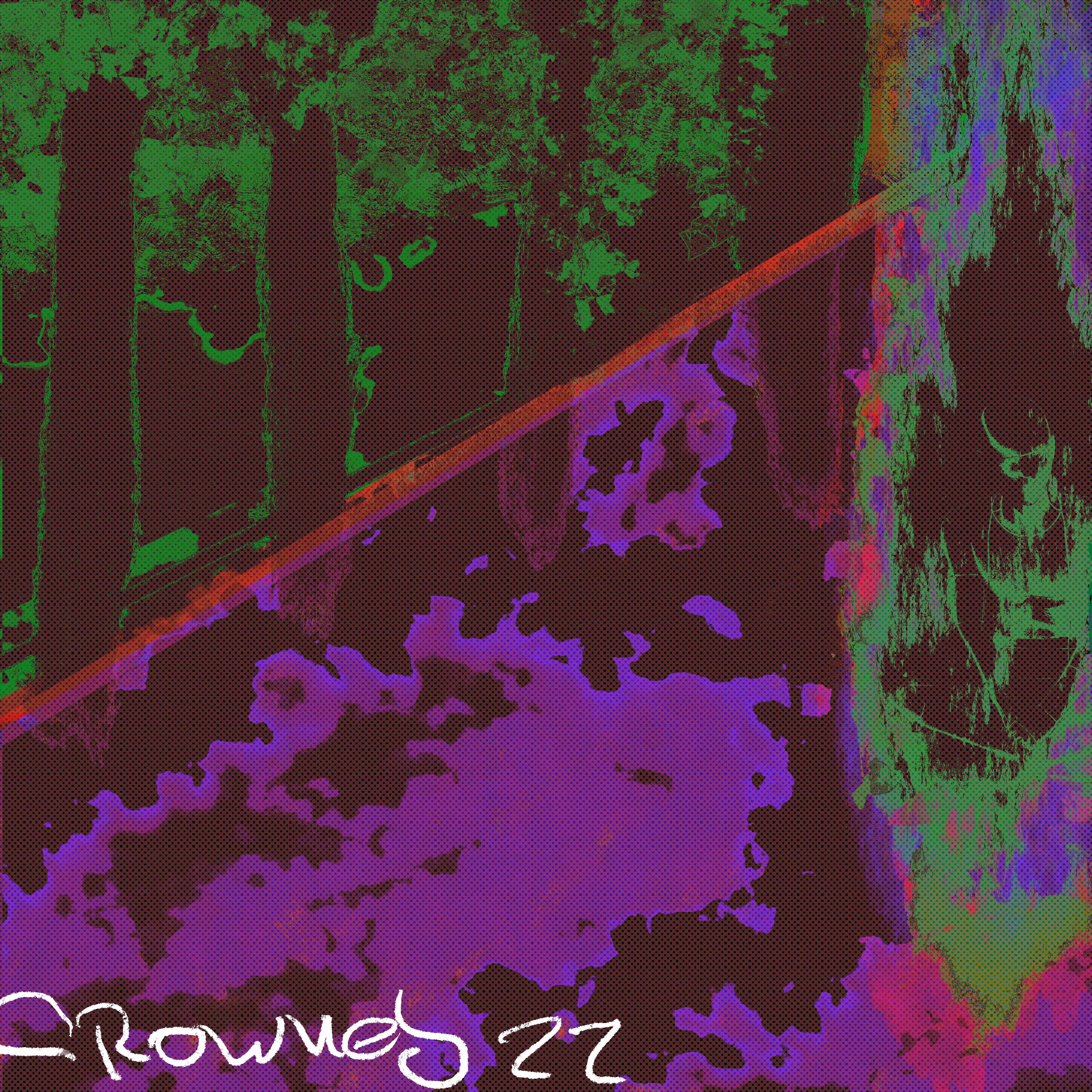 In the Forest