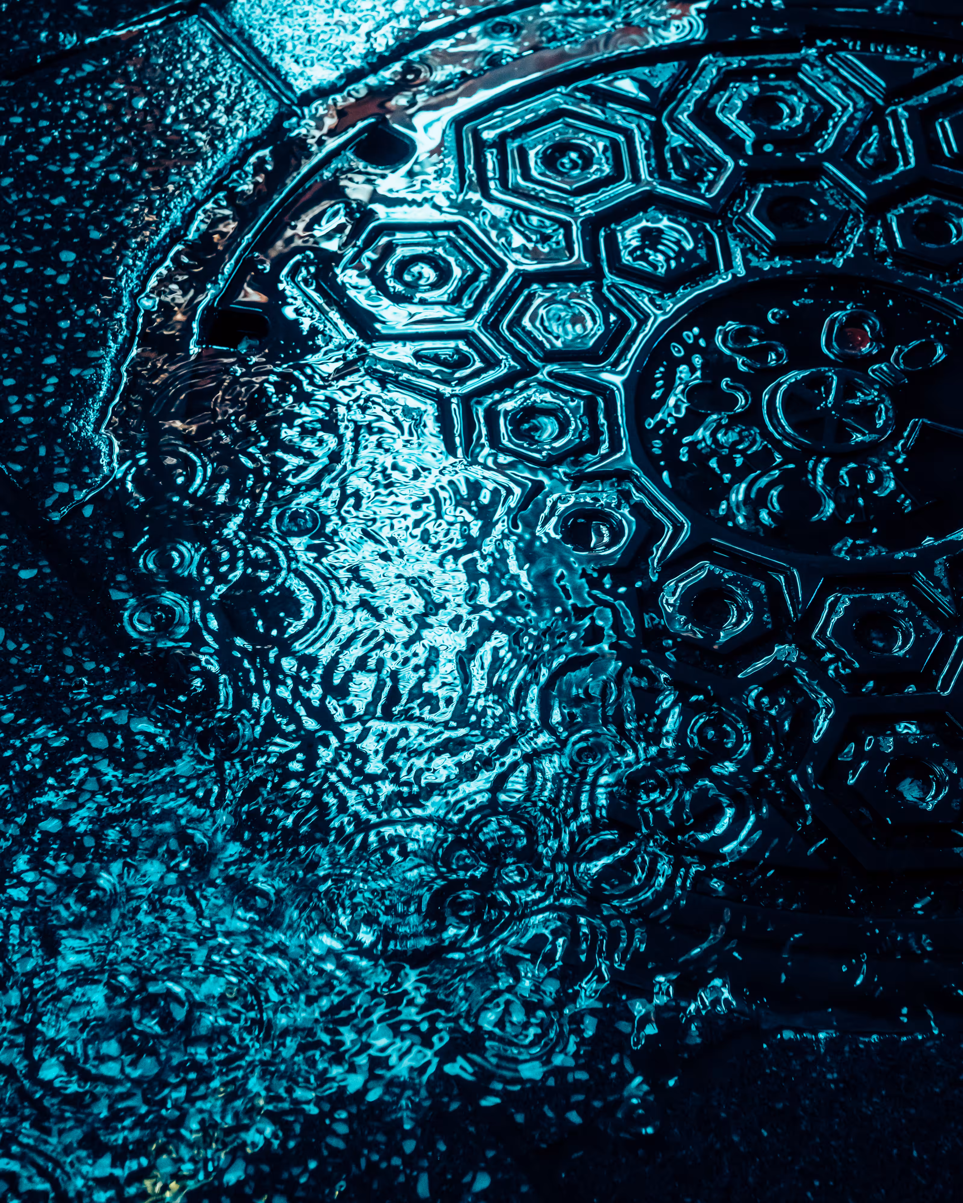 DRIP #477