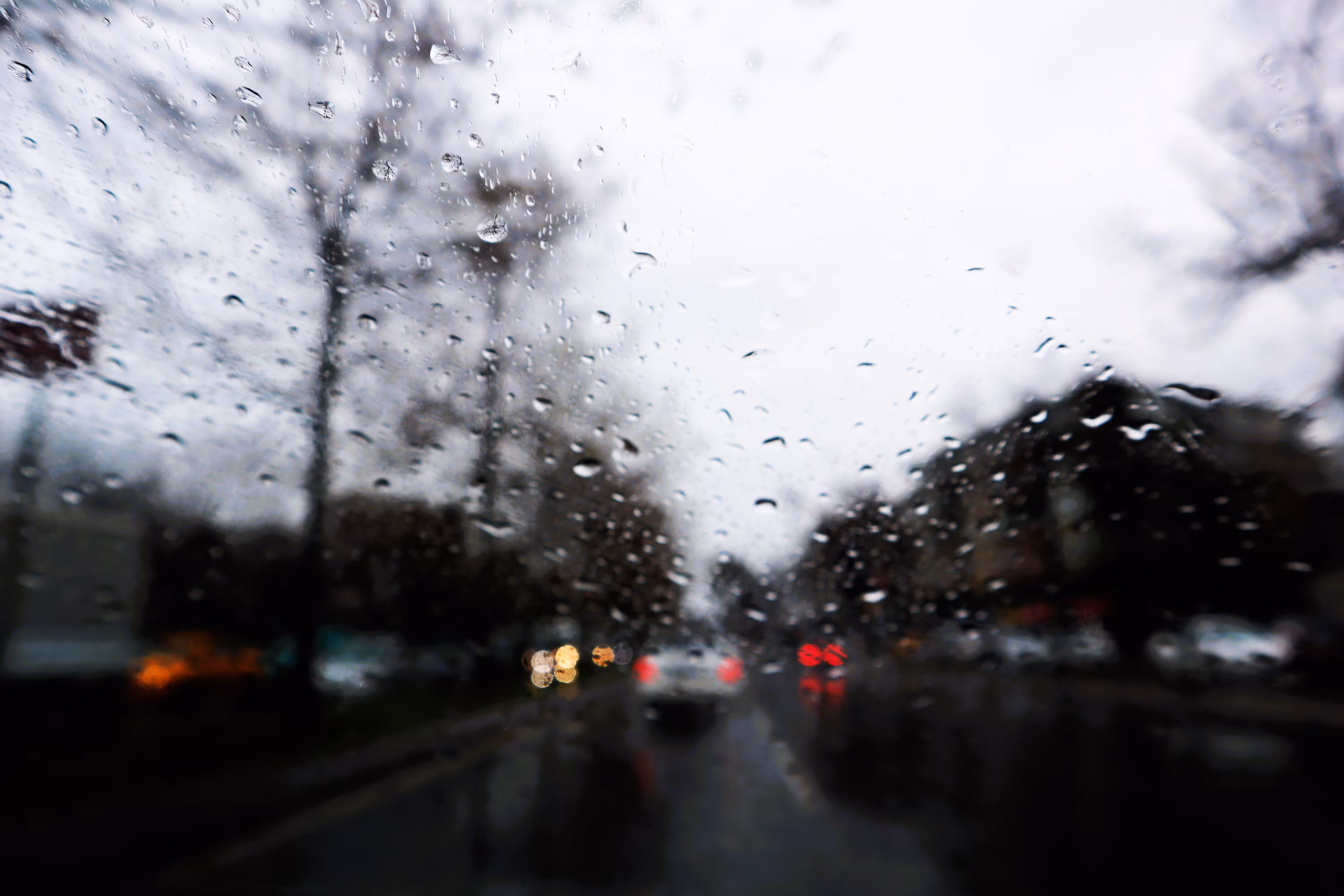 Rainy Day: #18