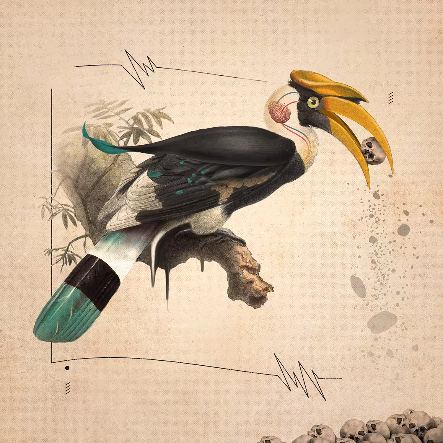 Brain Buster Bird Monster